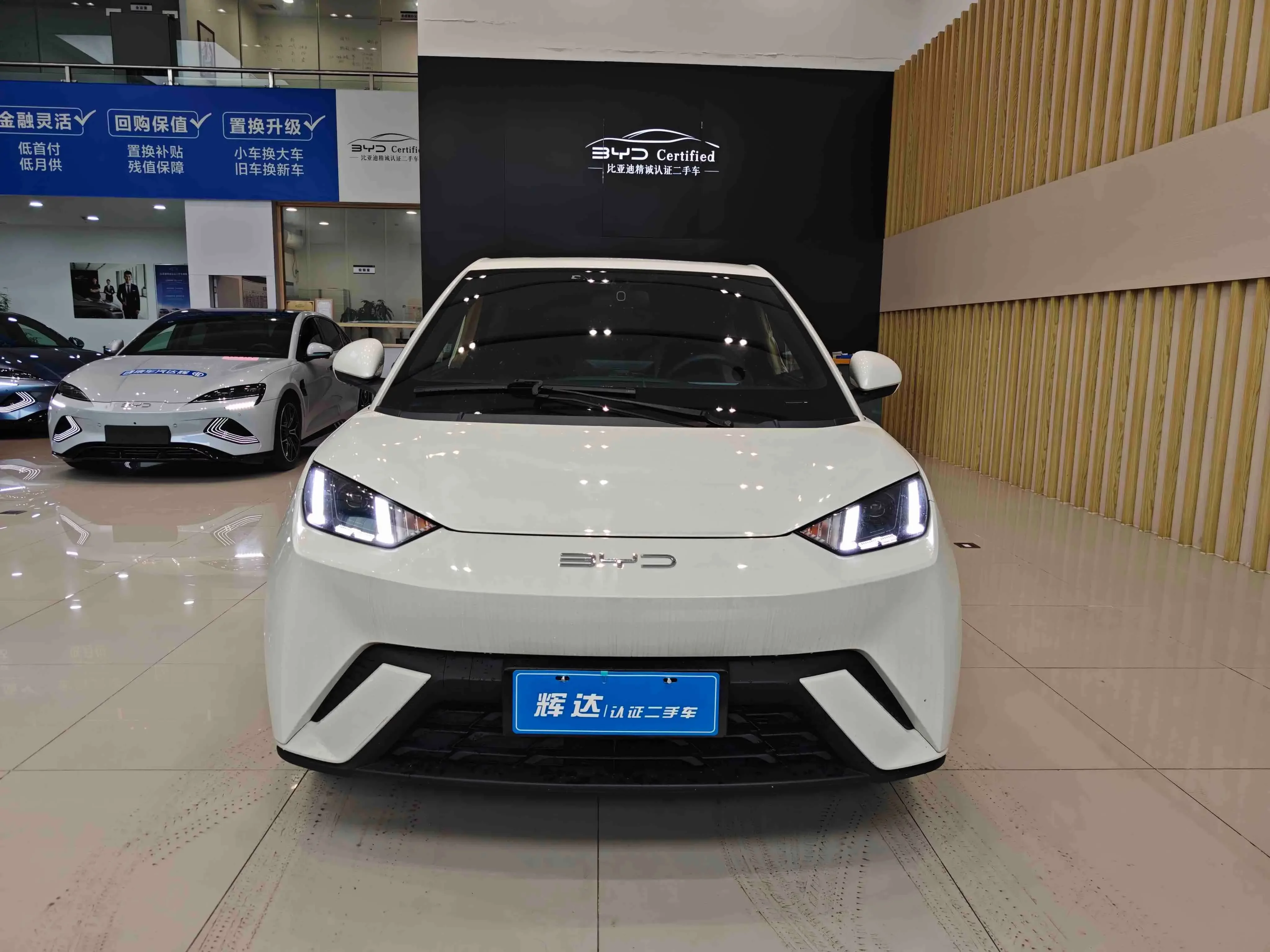 BYD seagull
