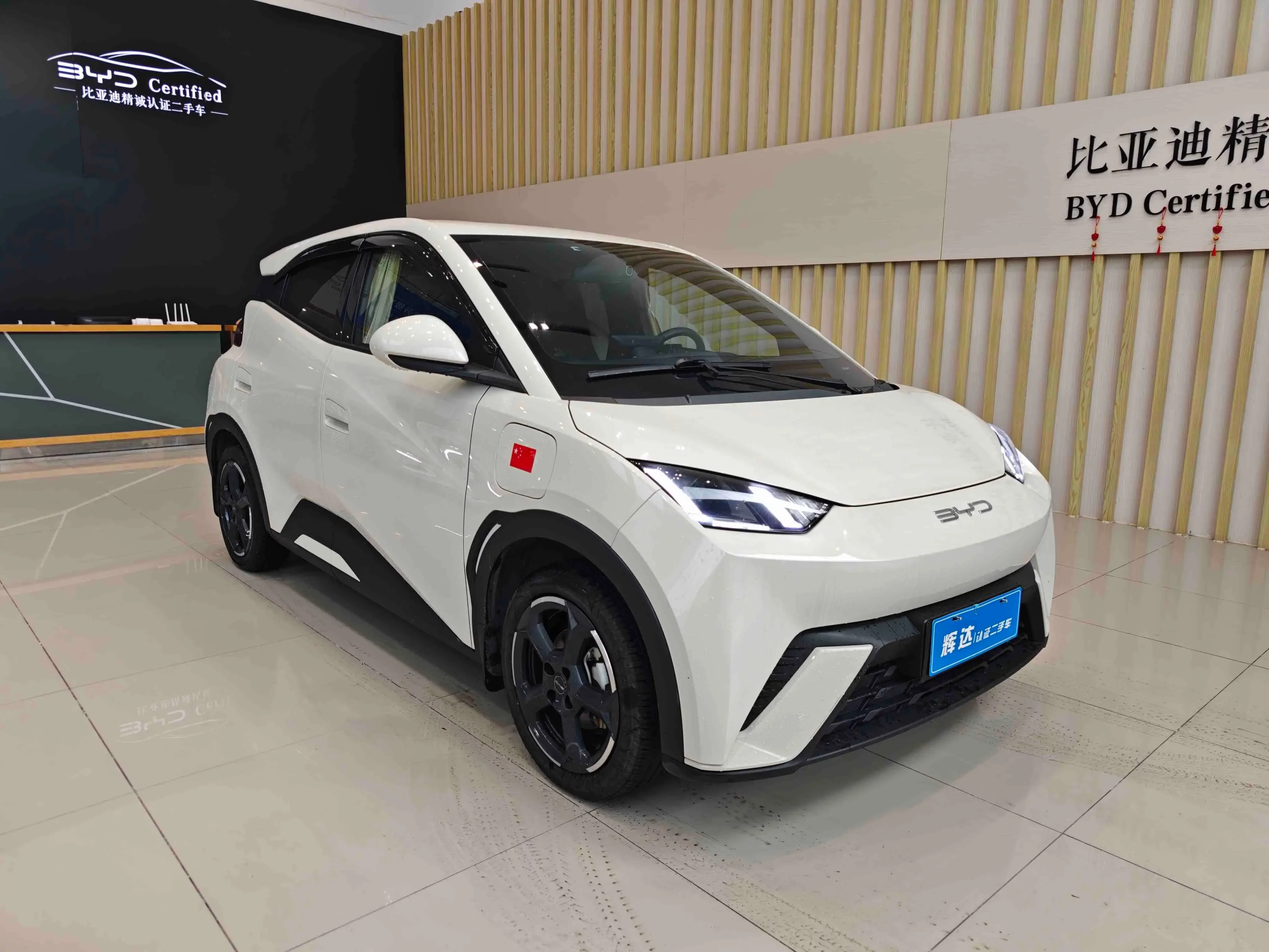 BYD seagull