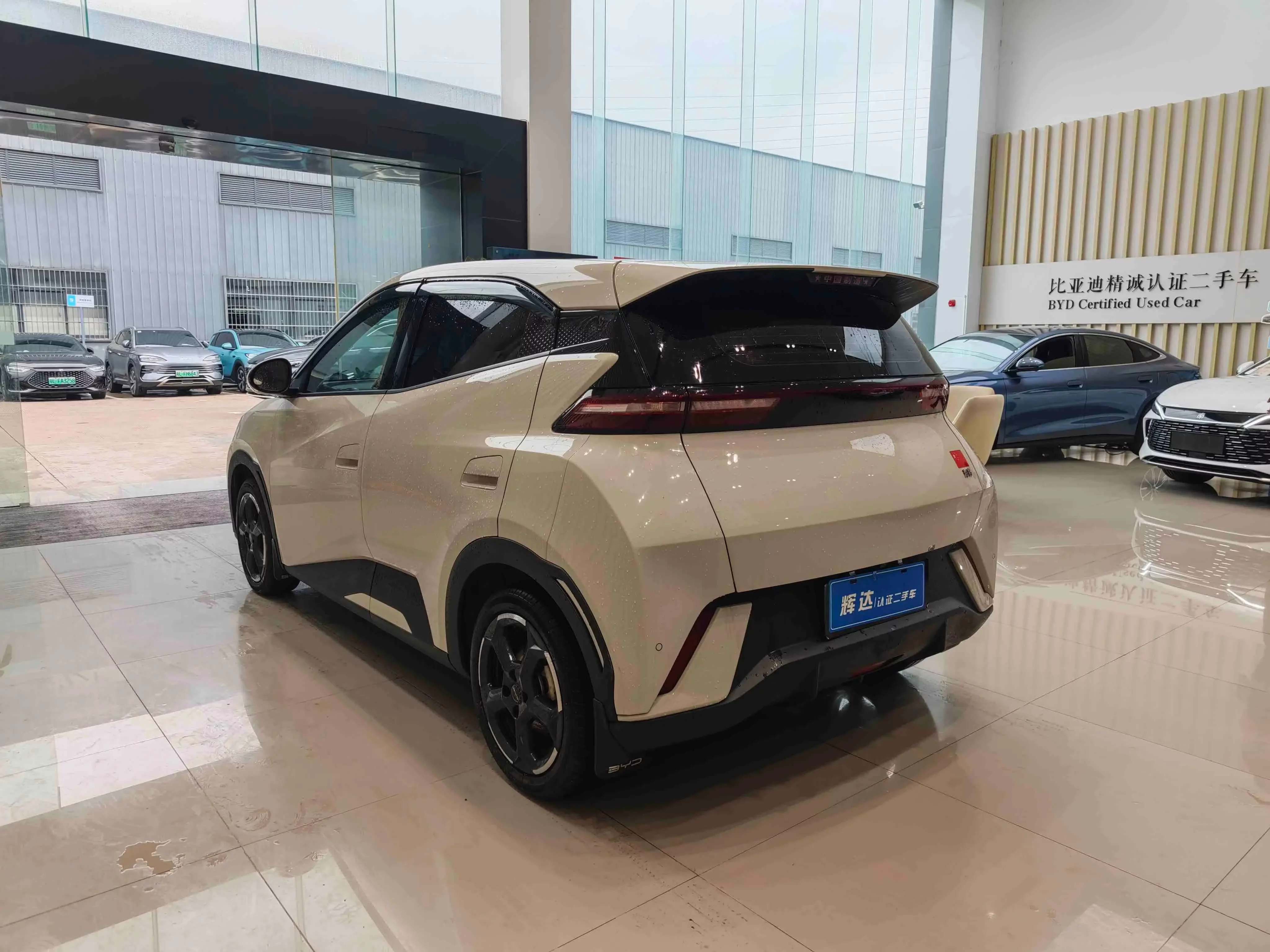 BYD seagull