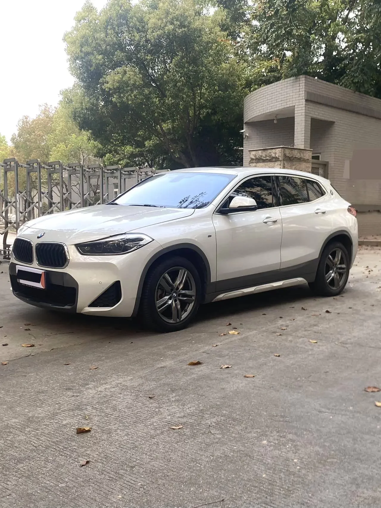 BMW X2