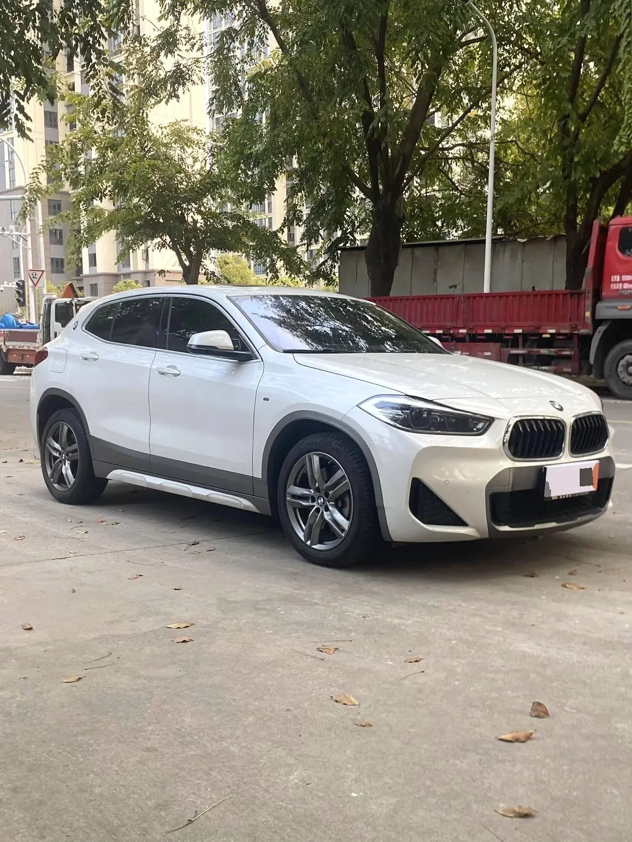 BMW X2