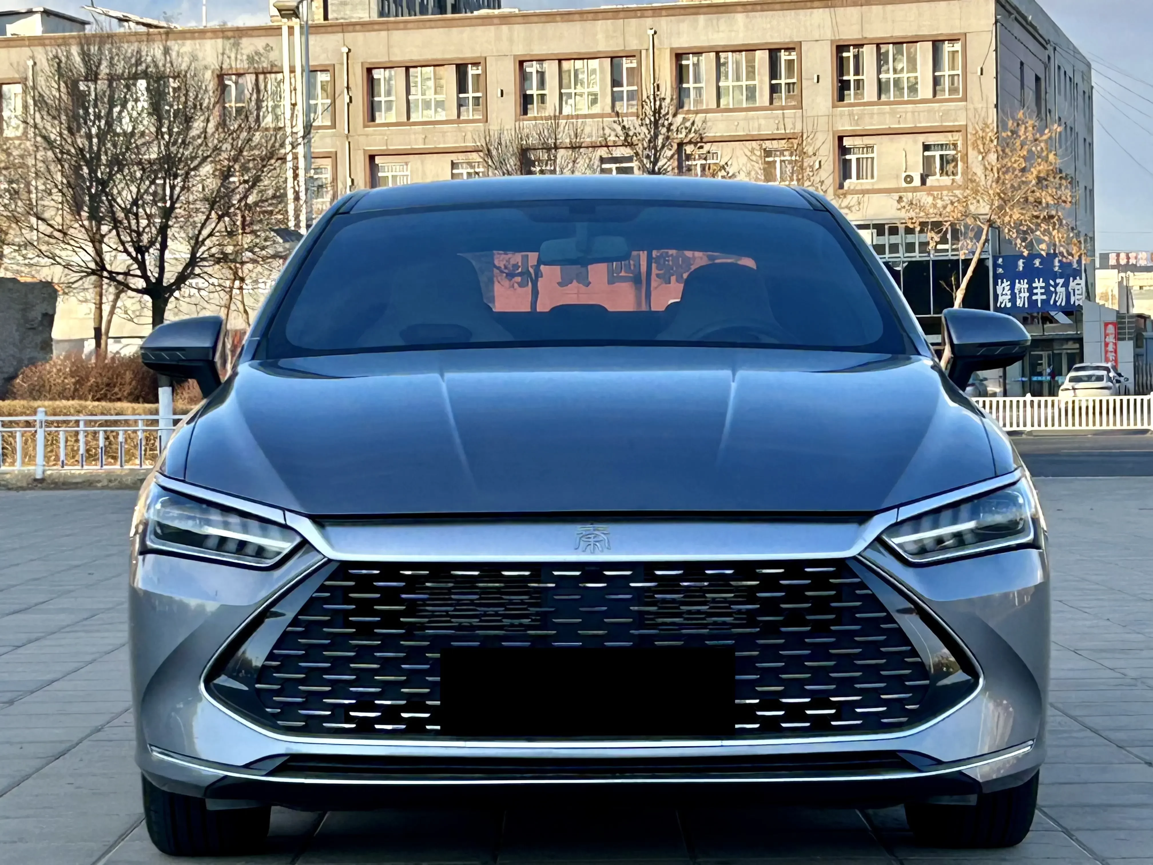 BYD Qin PLUS DM