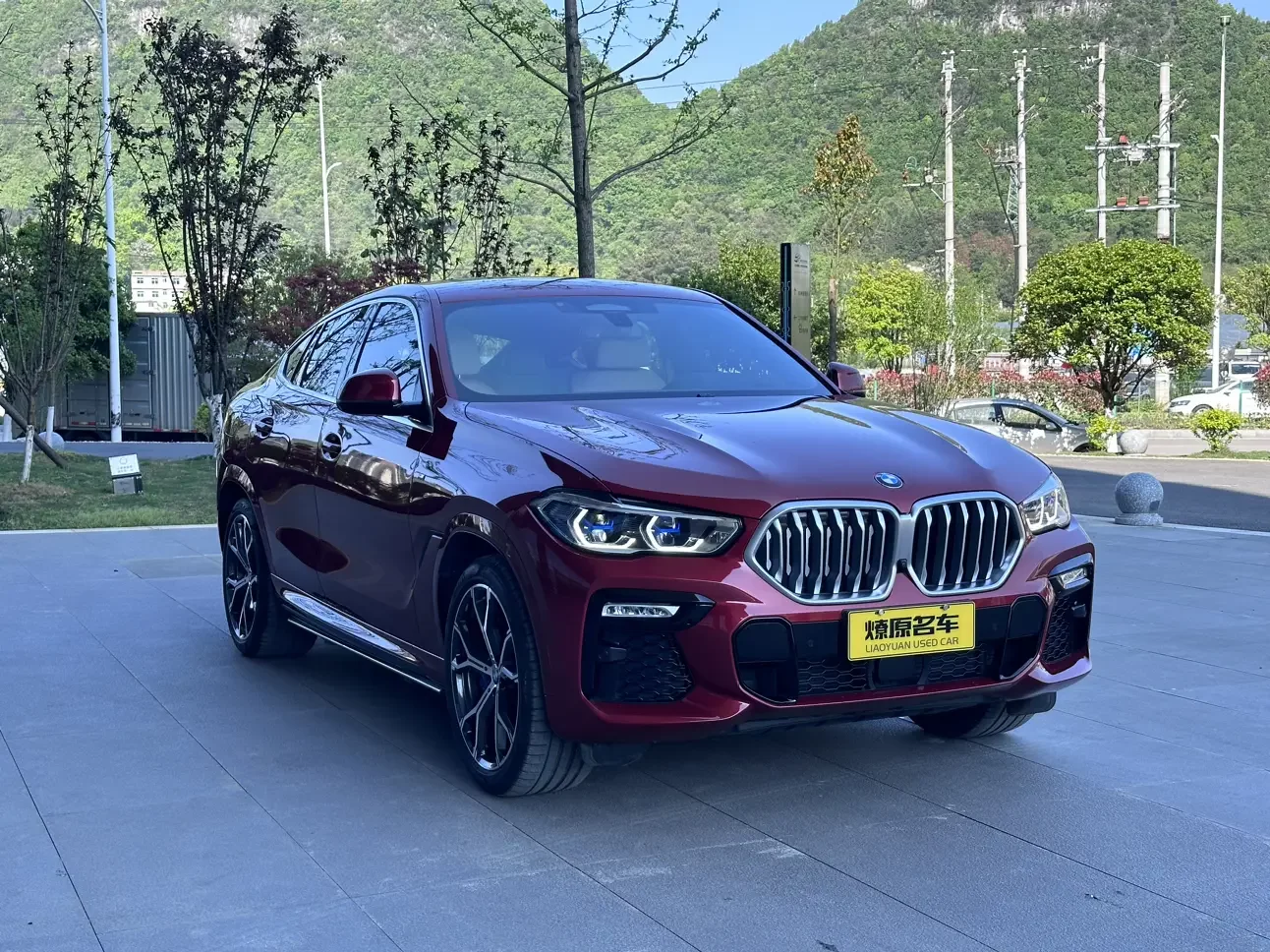 BMW X6