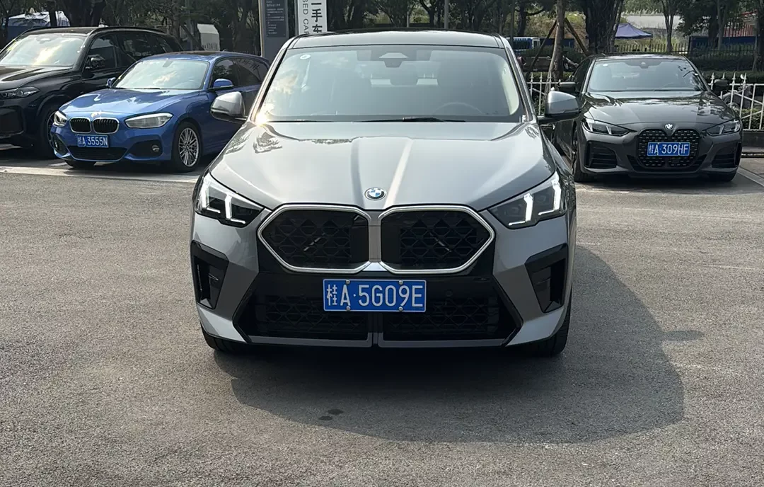 BMW X2