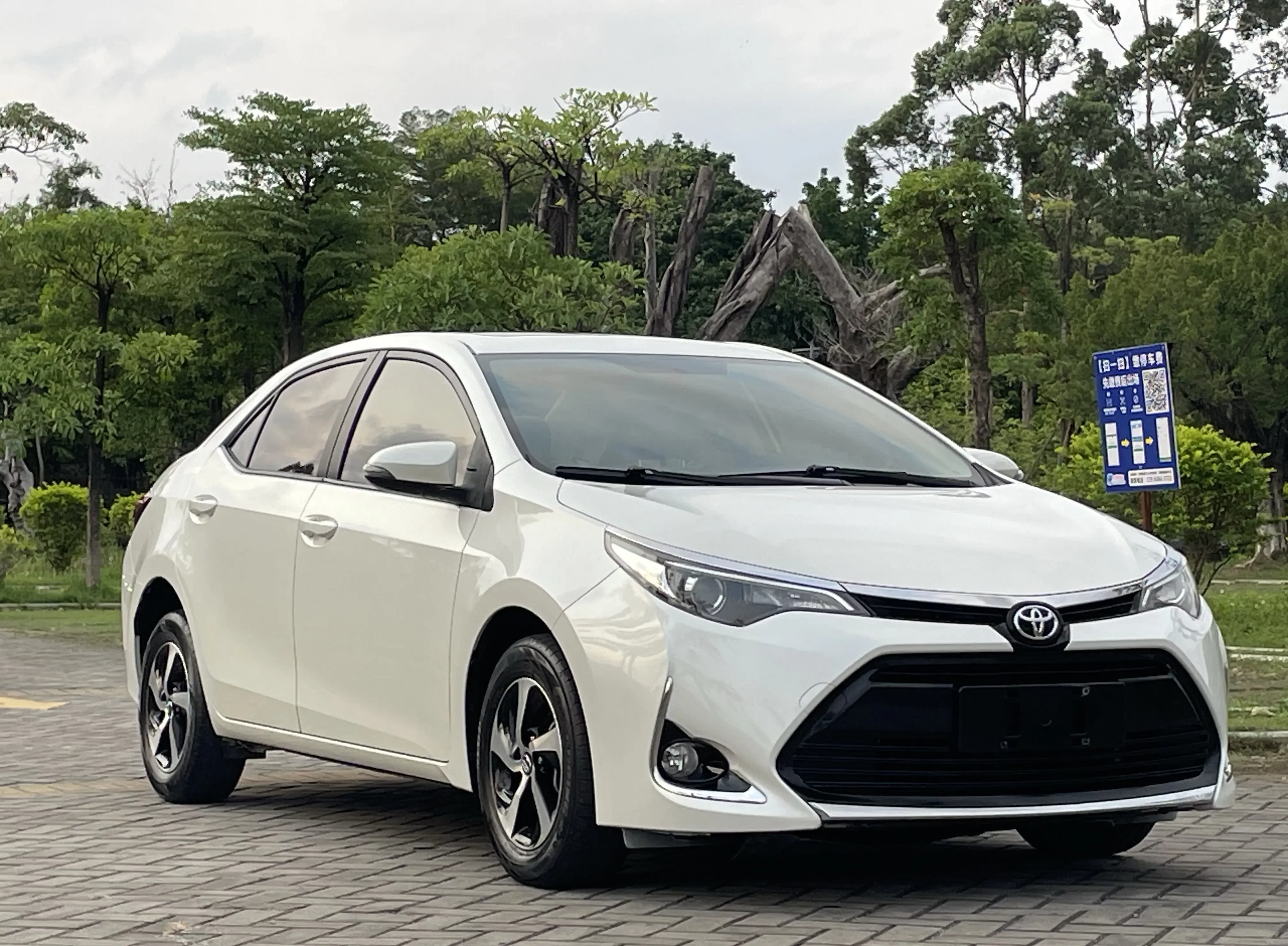 Toyota Levin
