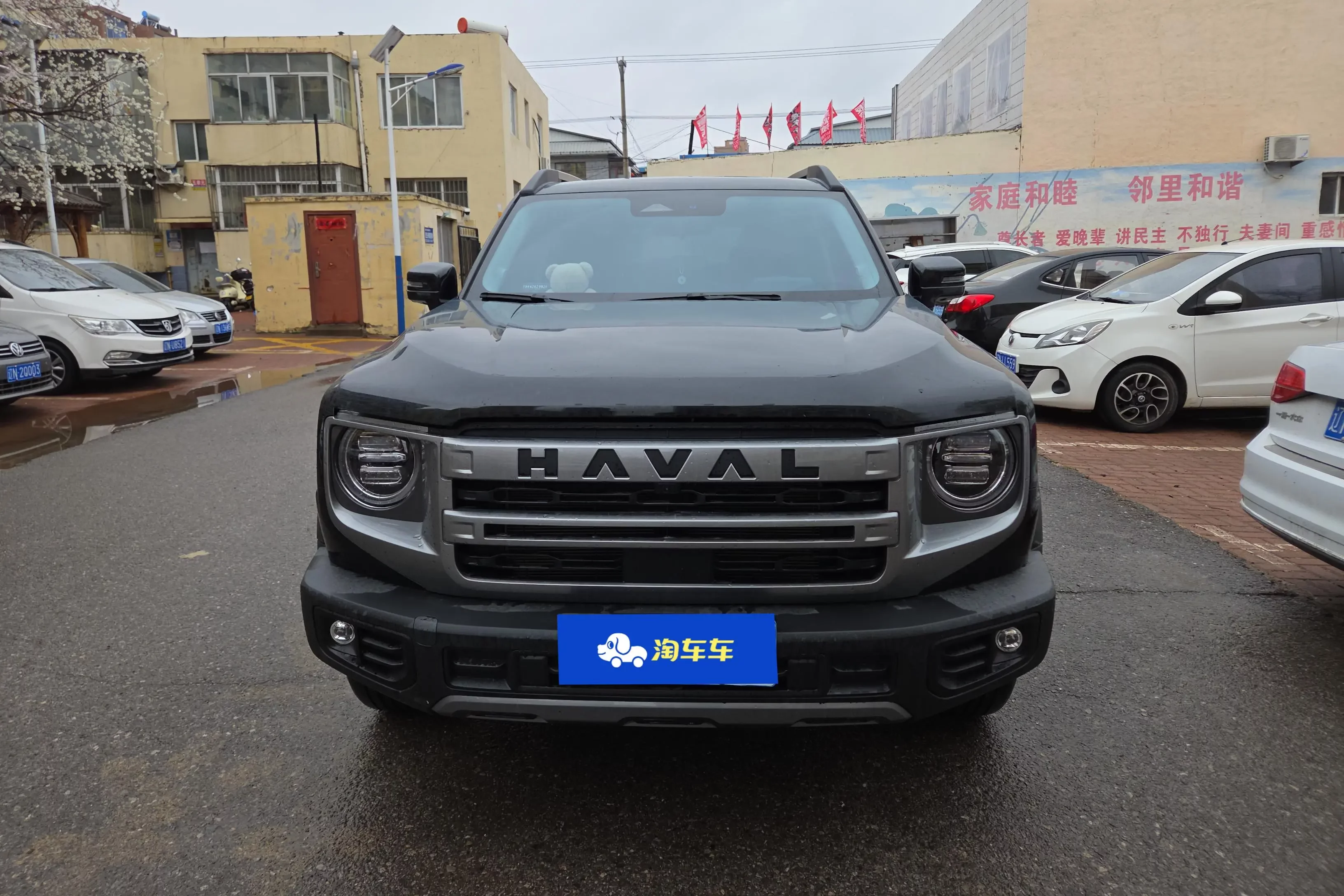 Haval Dargo