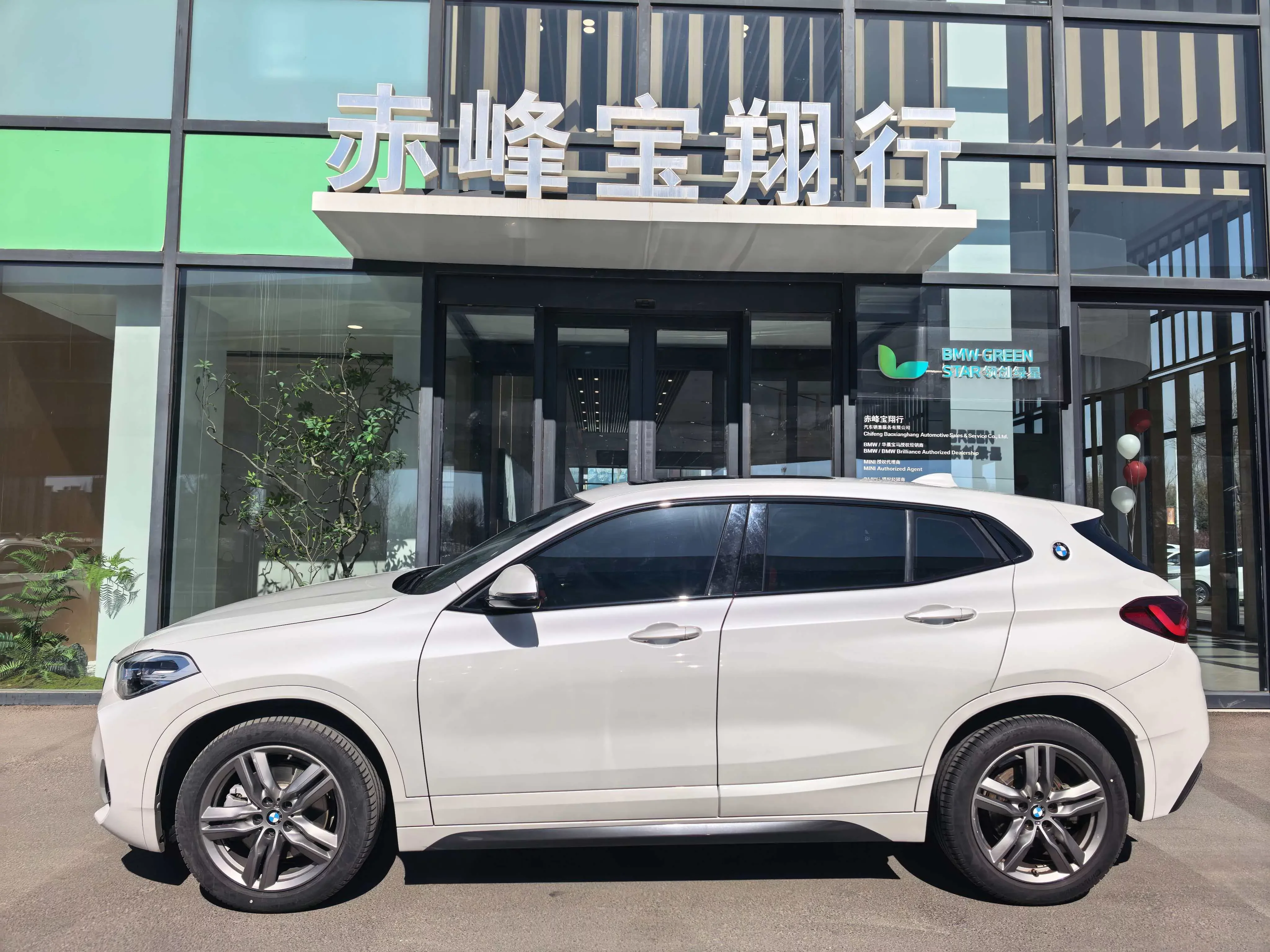 BMW X2