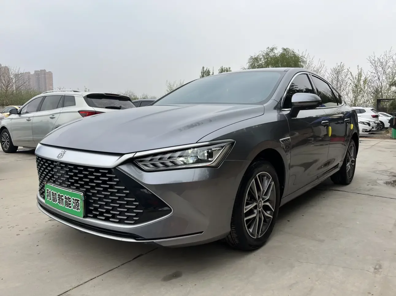 BYD Qin PLUS DM