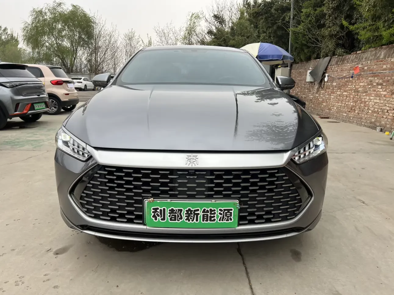BYD Qin PLUS DM