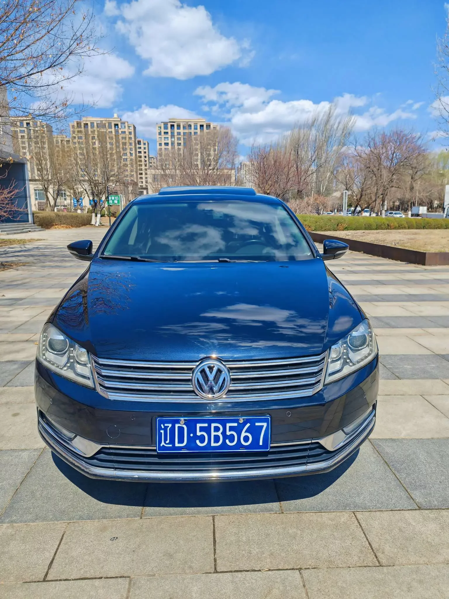 Volkswagen Magotan