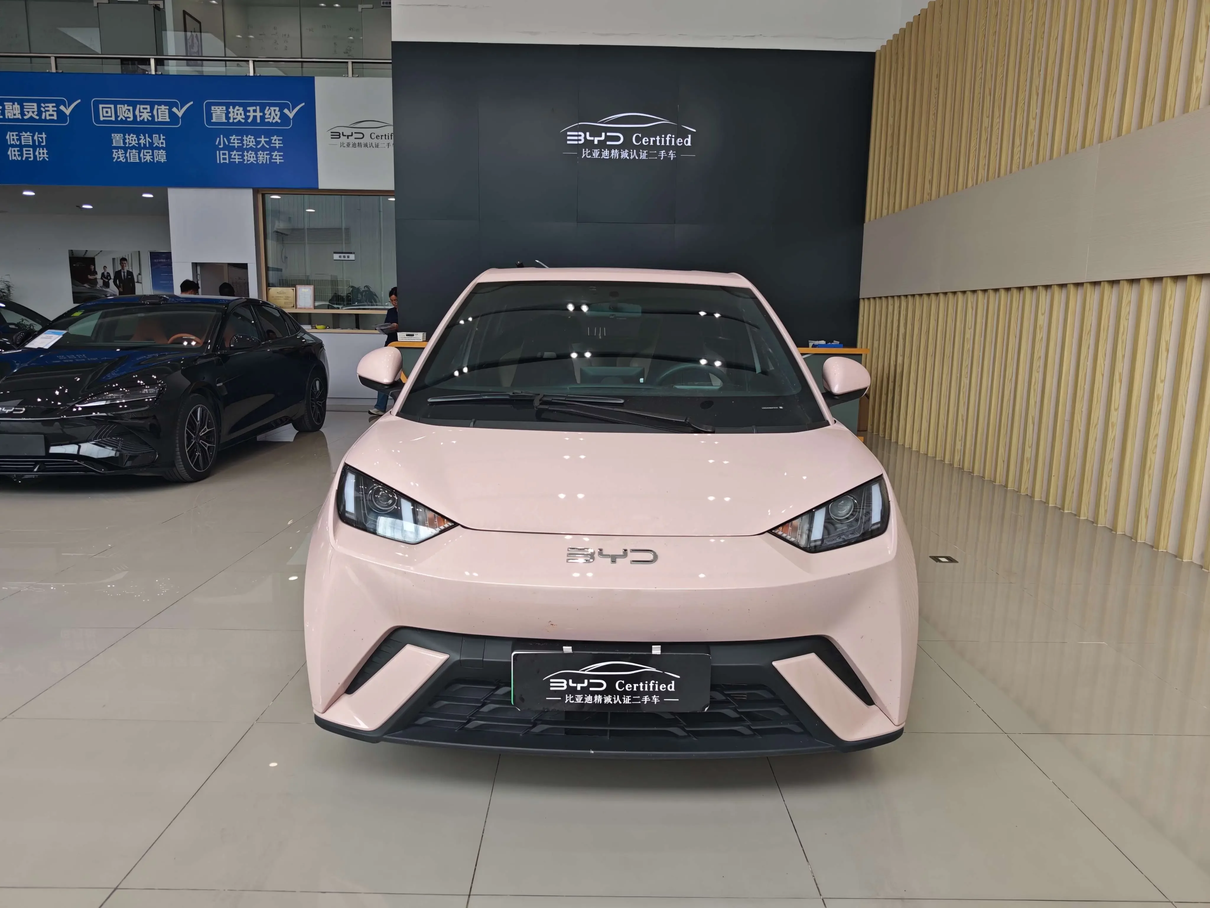 BYD seagull