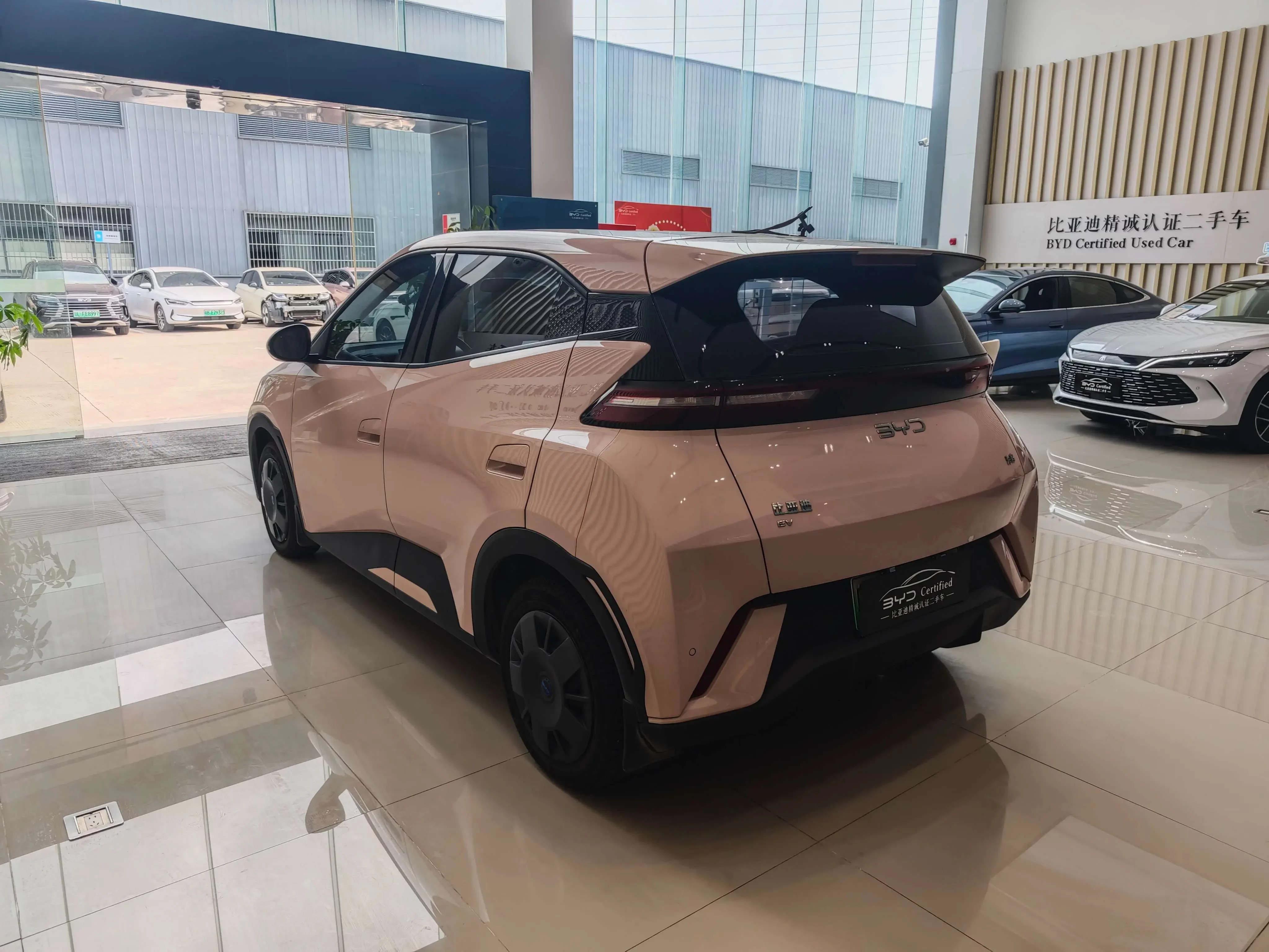 BYD seagull
