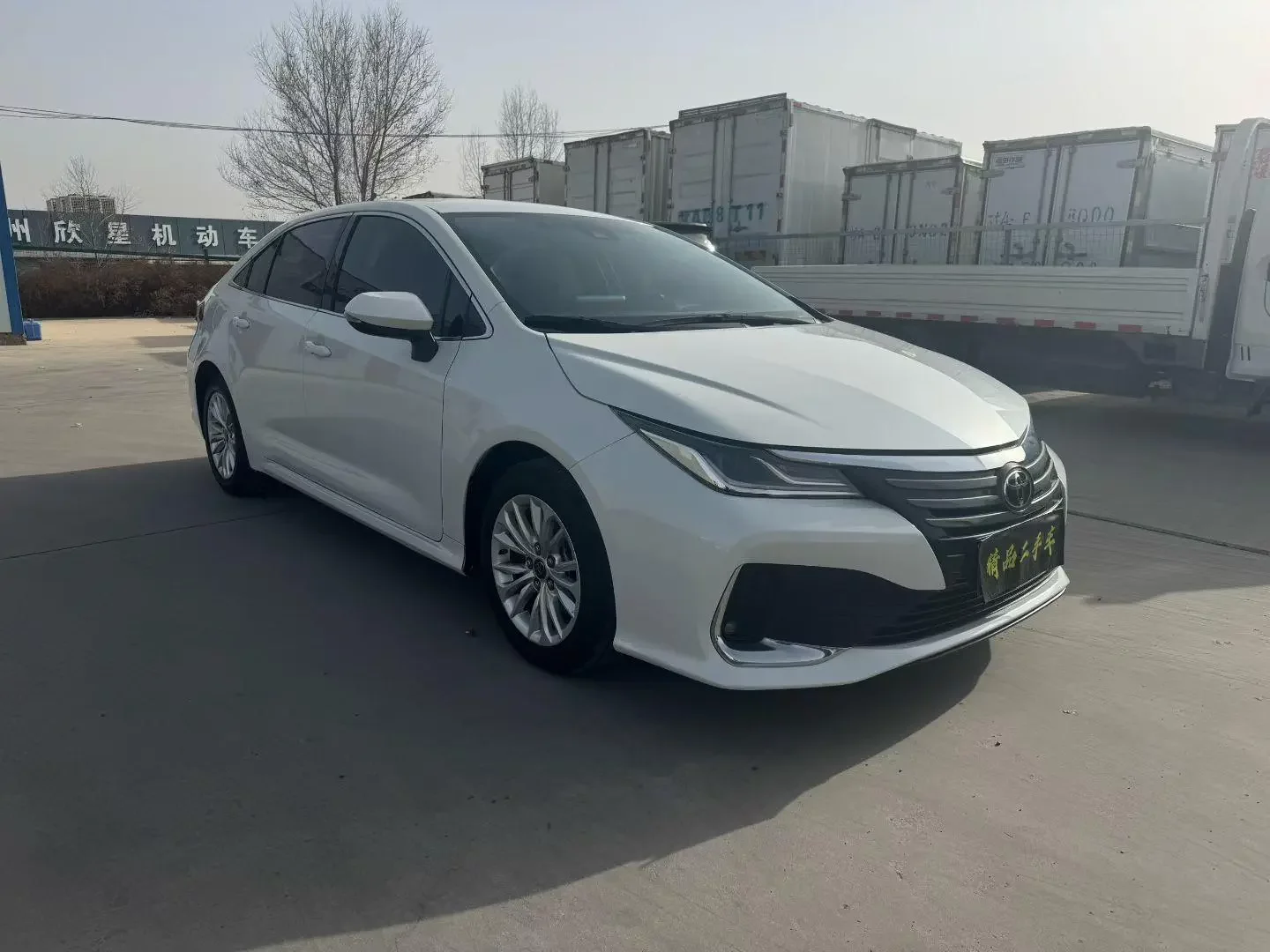Toyota Asiatic lion