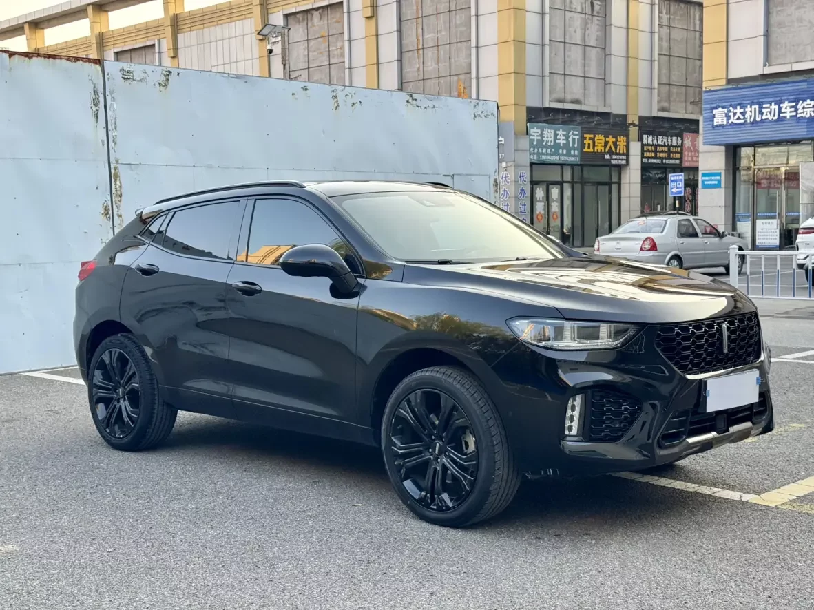 Wey Wei brand VV5