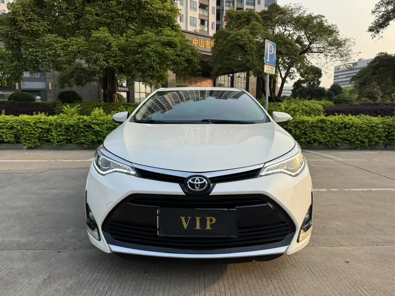 Toyota Levin