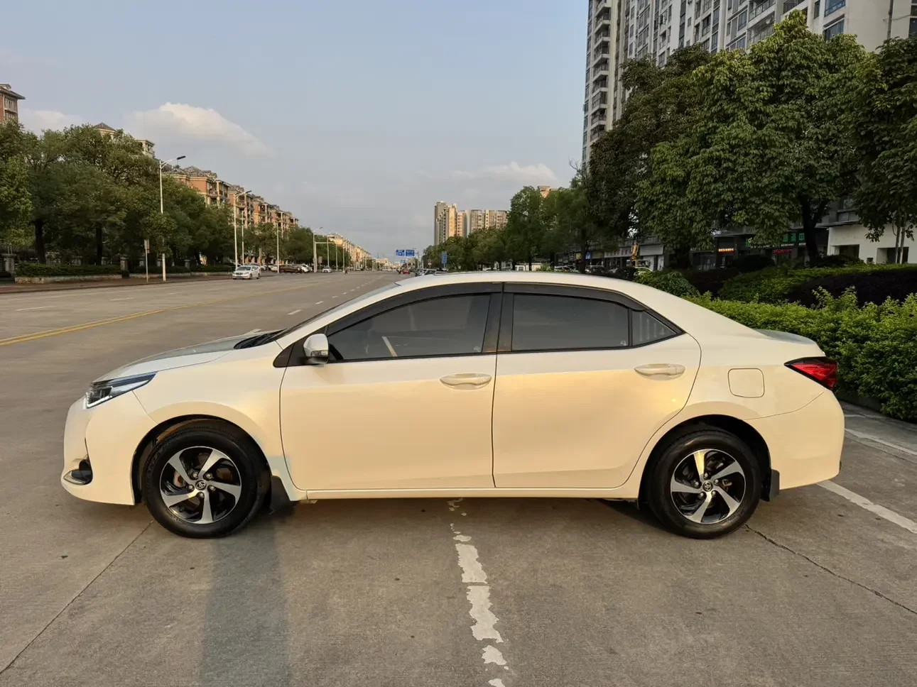 Toyota Levin