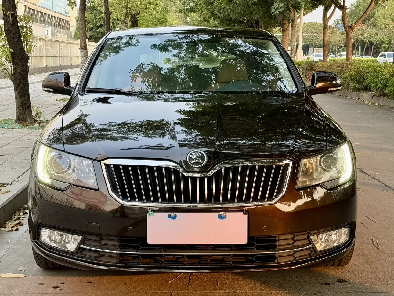 Skoda Speedy