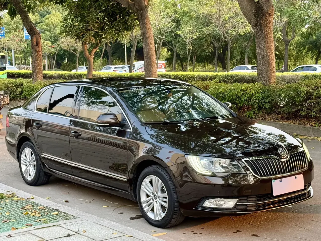 Skoda Speedy