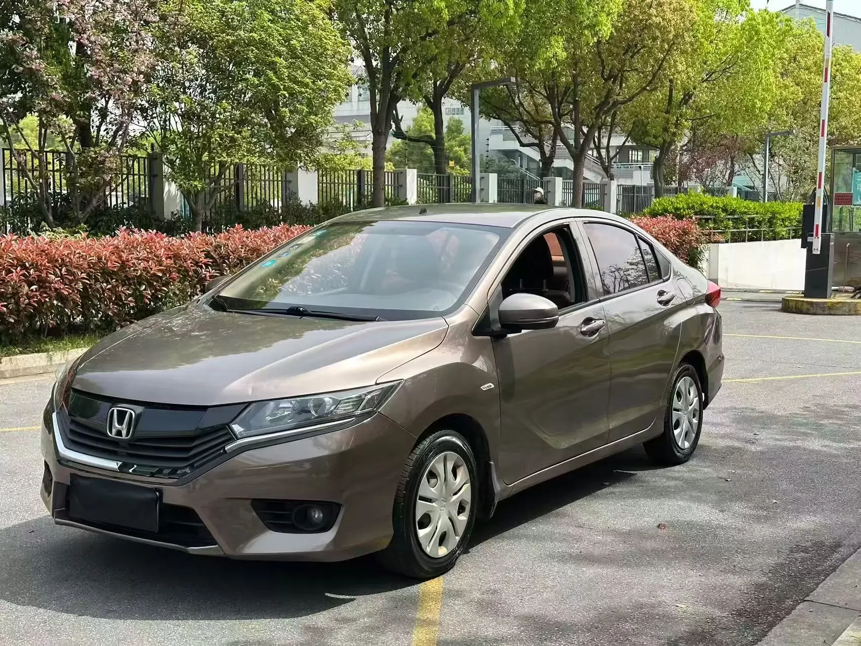 Honda Gray