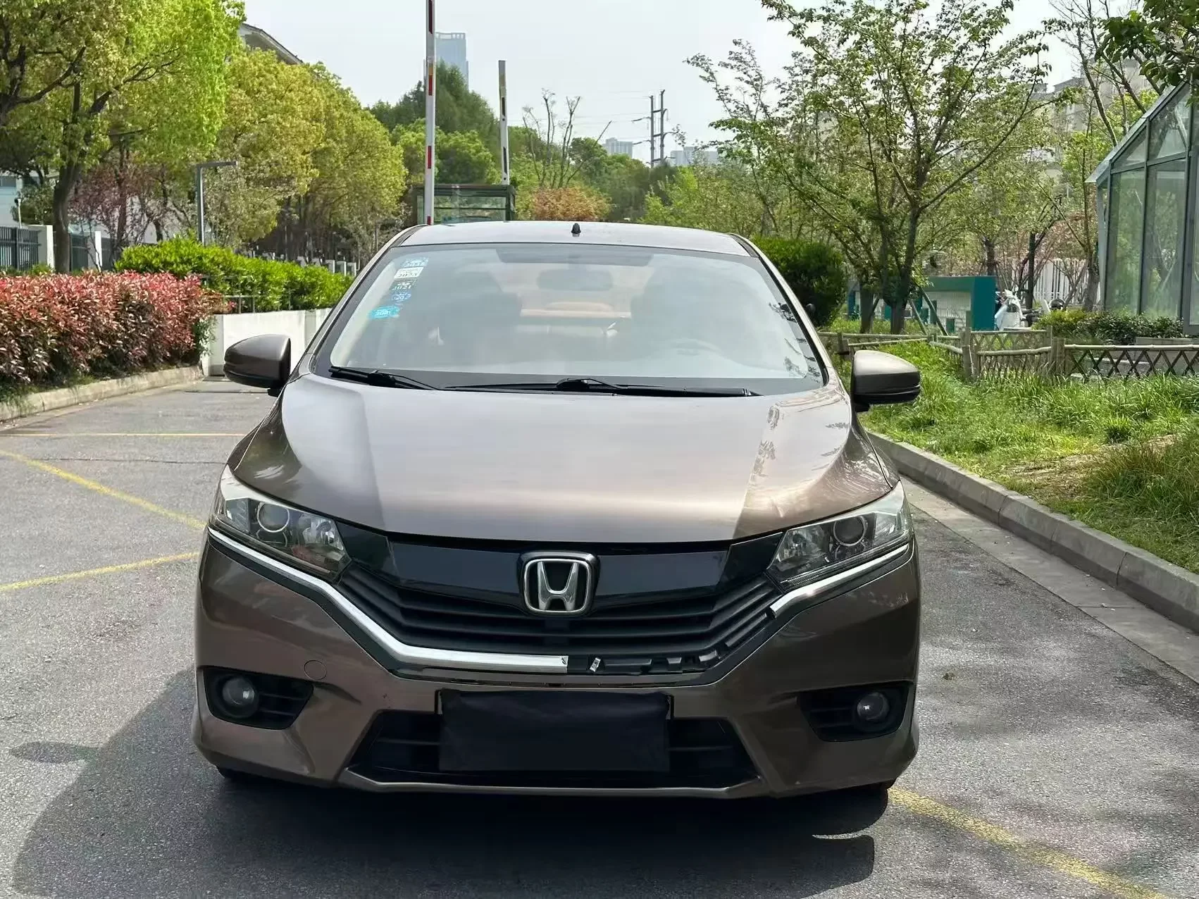 Honda Gray