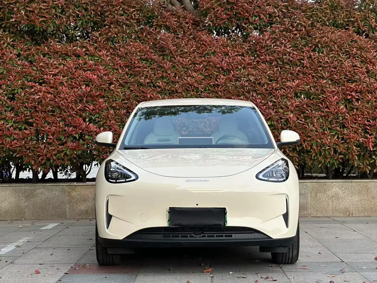 Geely Star Wish