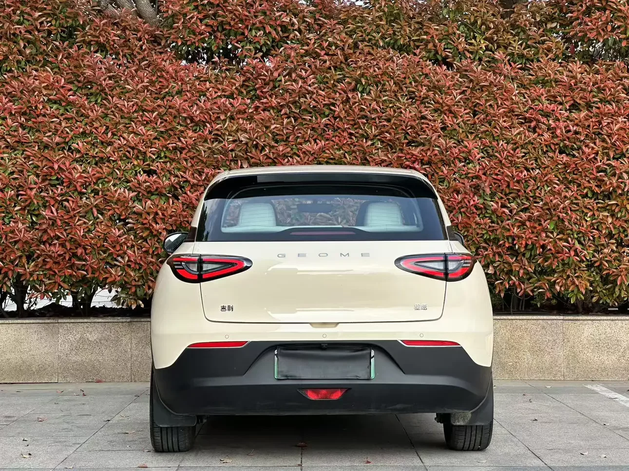Geely Star Wish