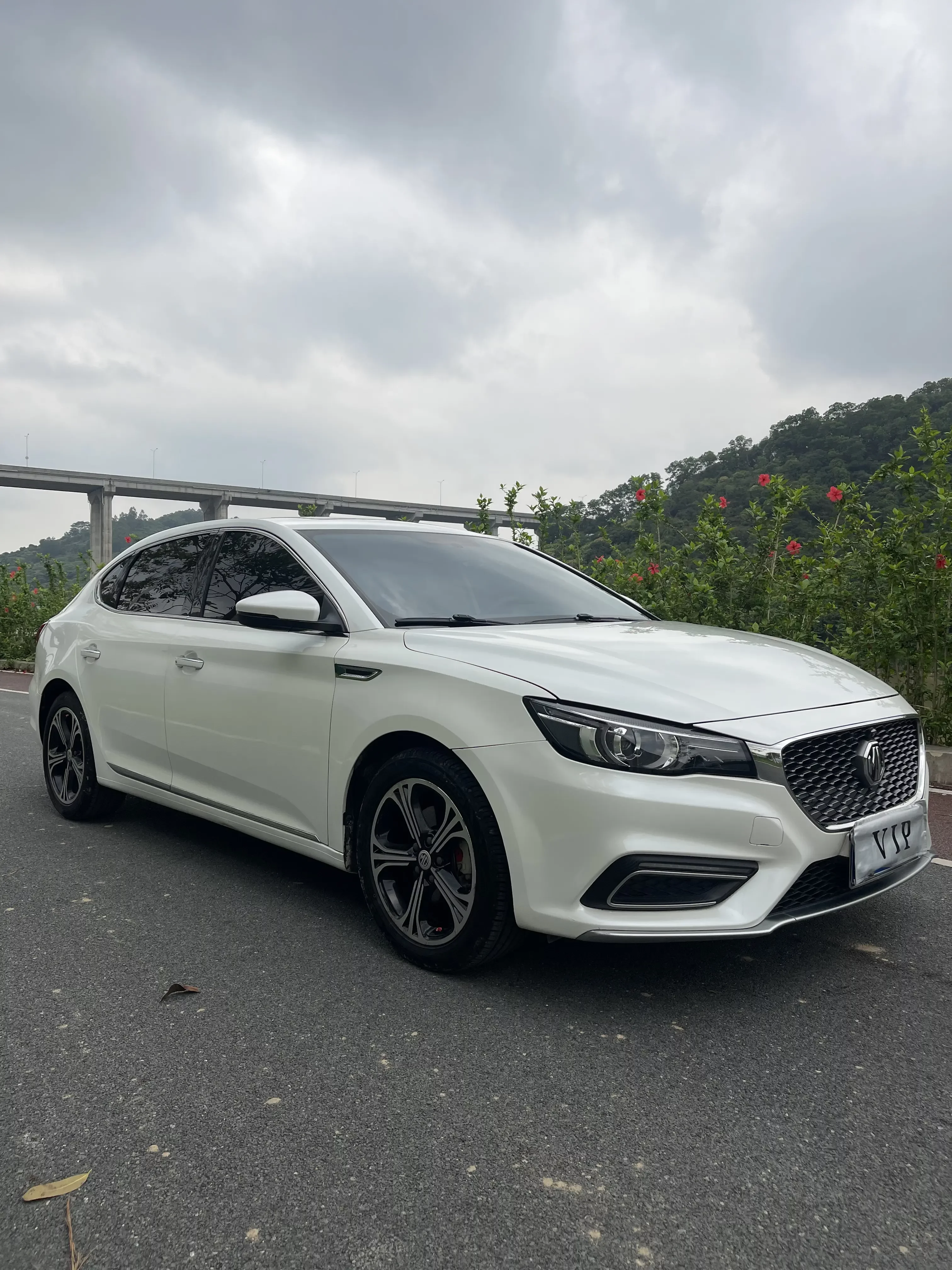 MG 6