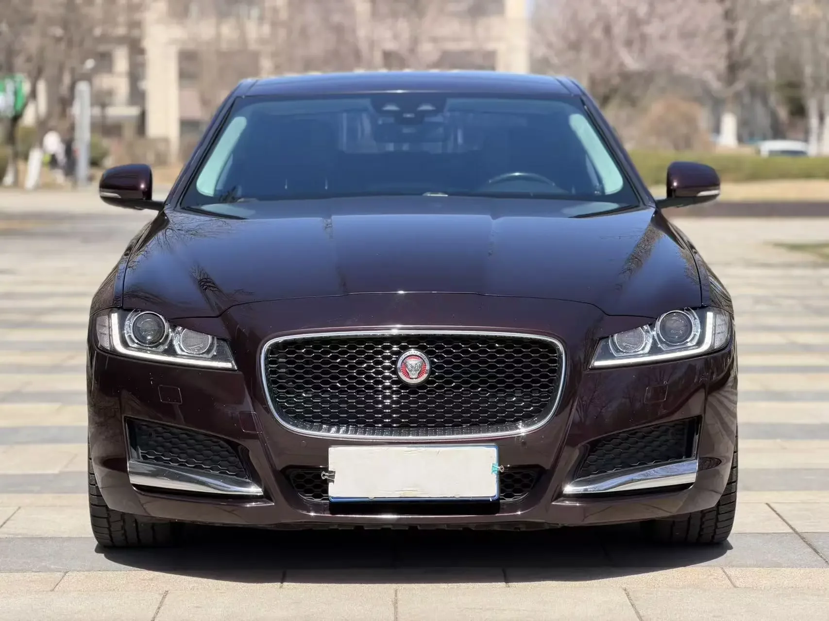 Jaguar XFL