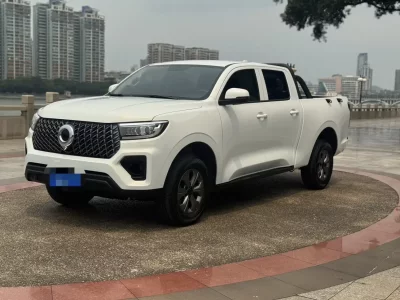 Great Wall Poer (gun)