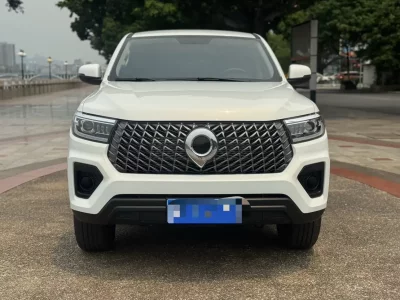 Great Wall Poer (gun)