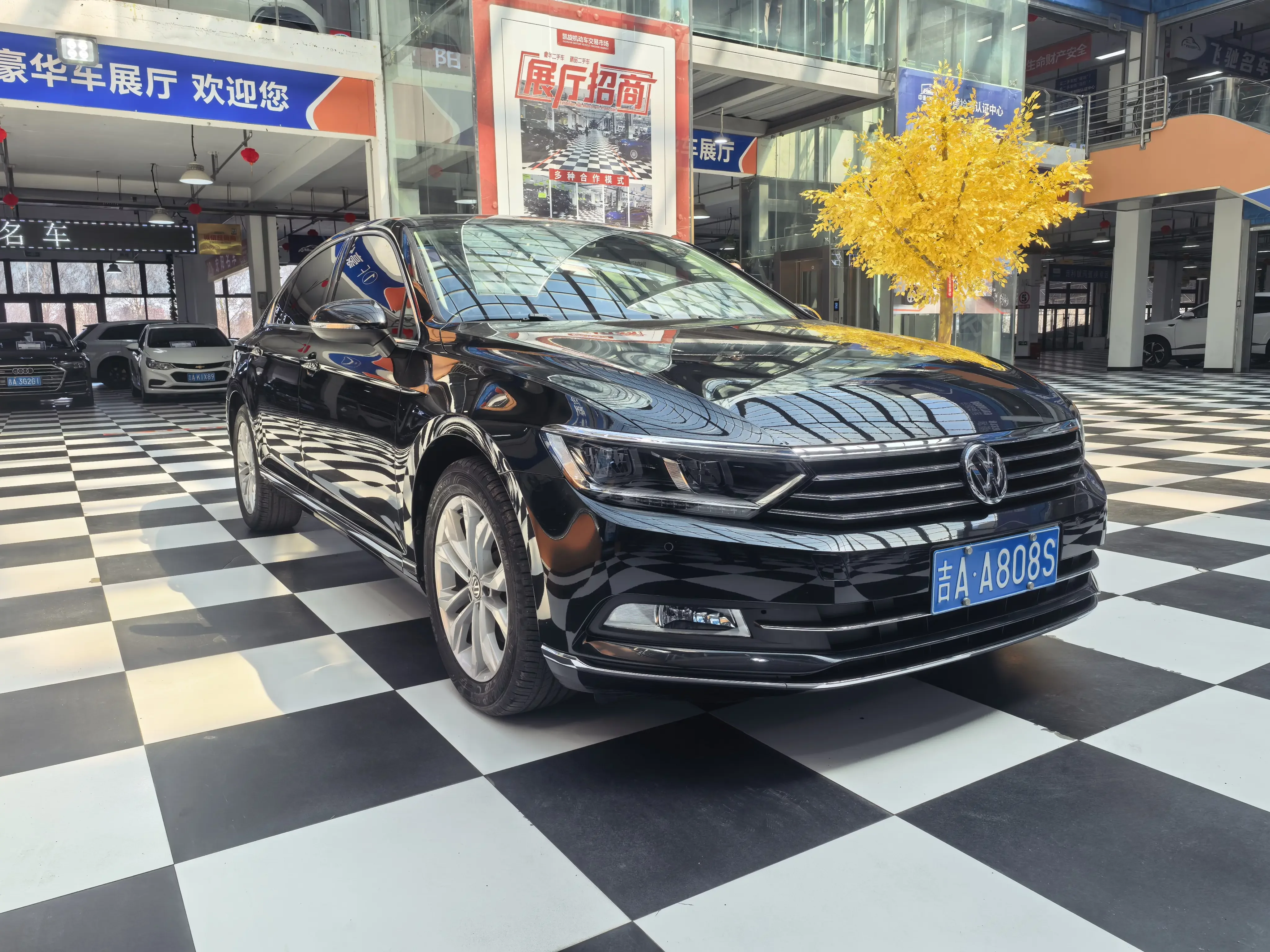 Volkswagen Magotan