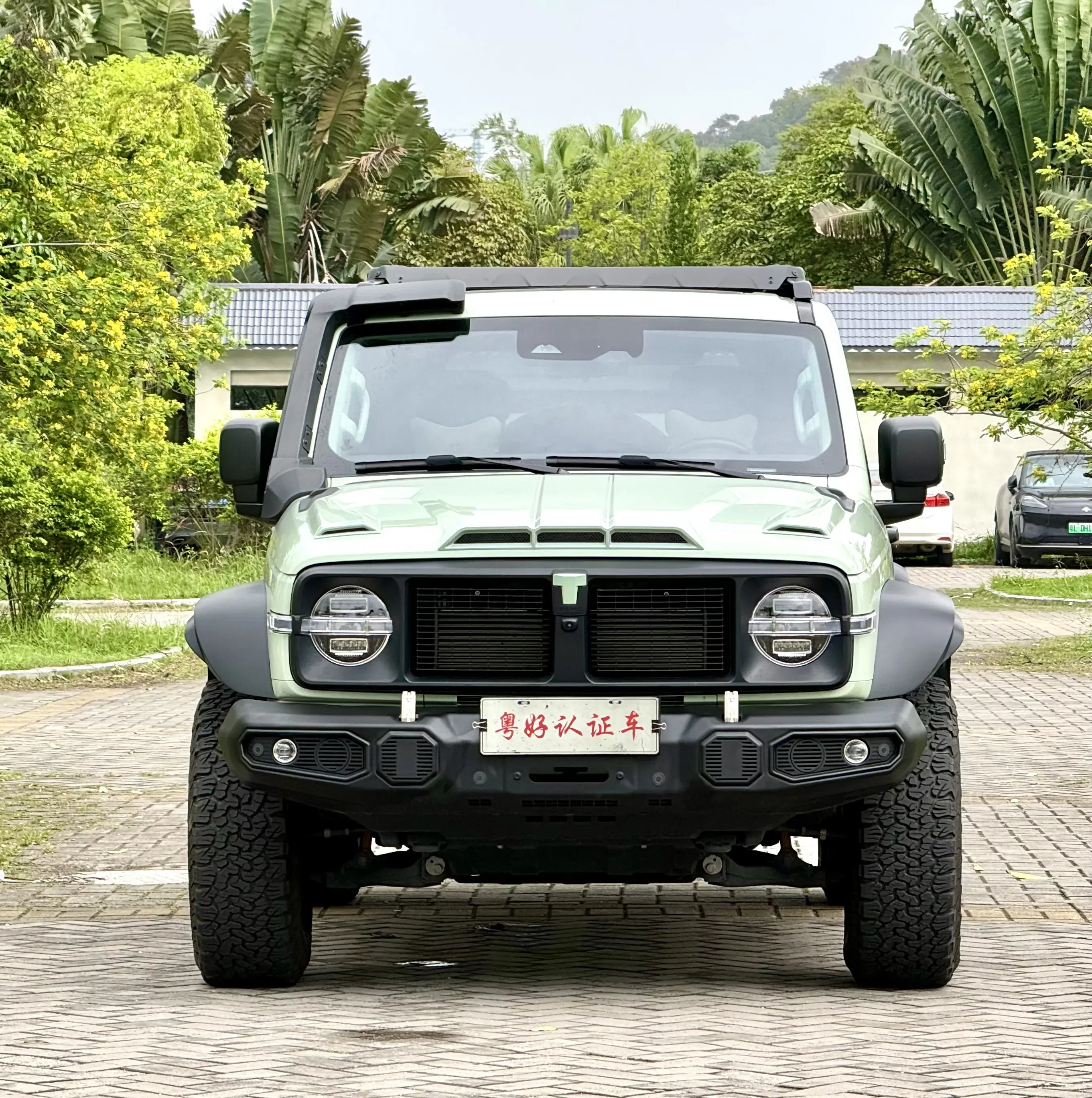 Tank 300