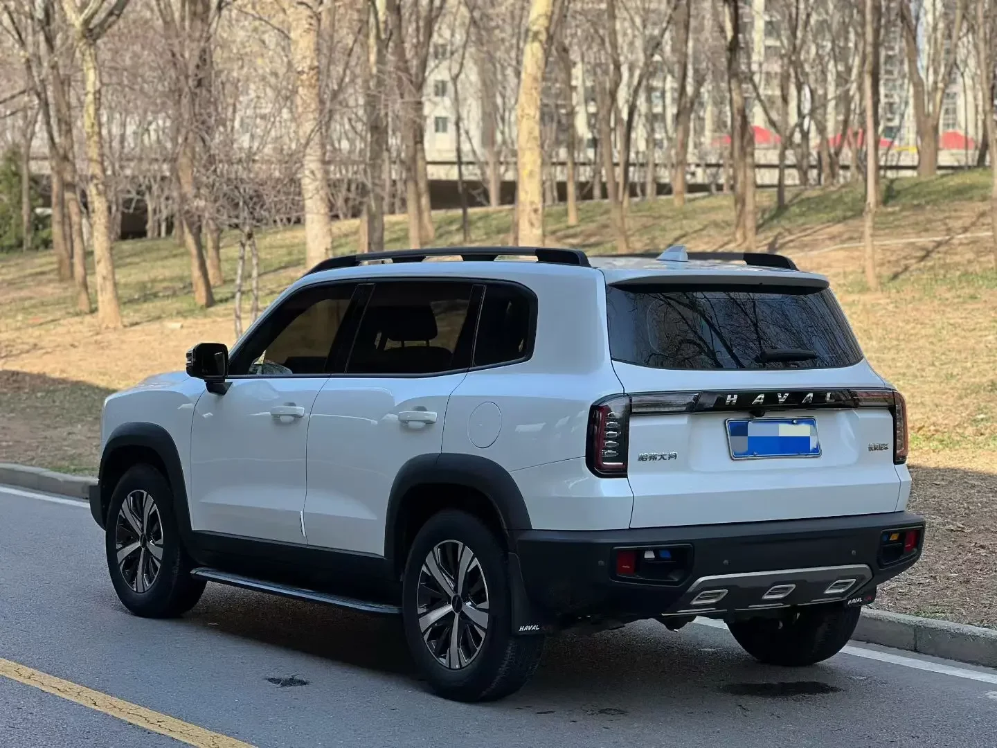 Haval Dargo