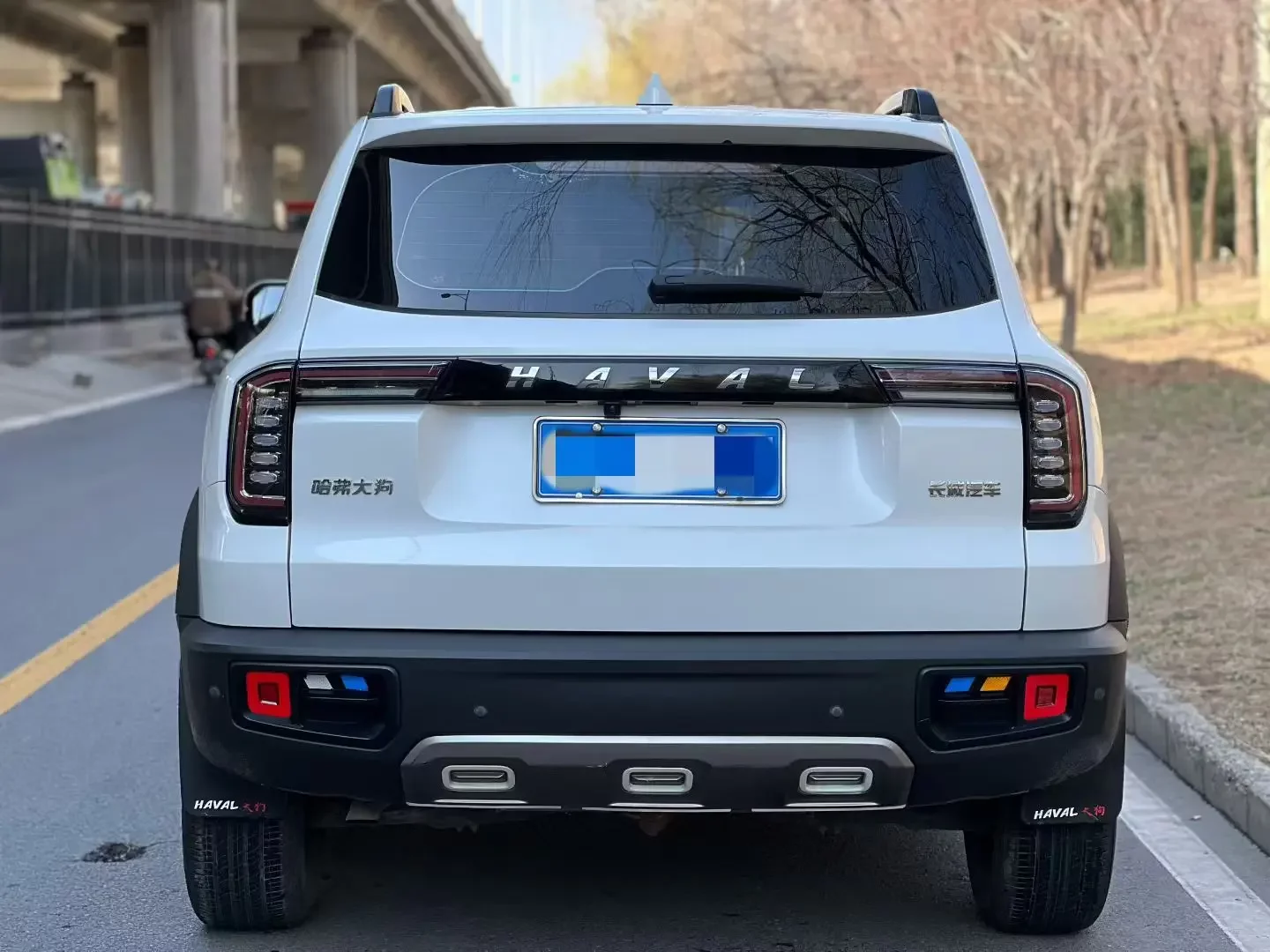 Haval Dargo