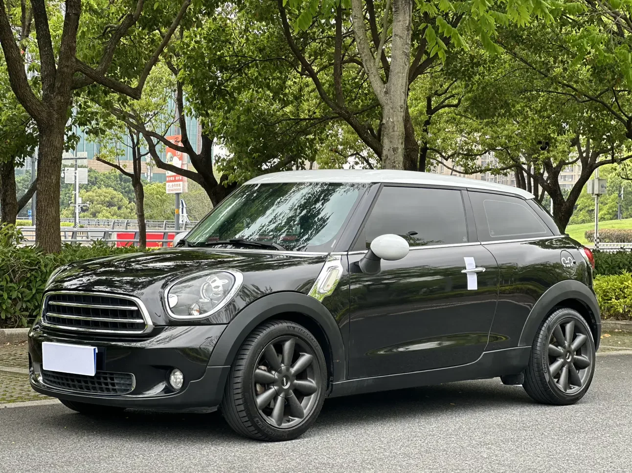 MINI PACEMAN