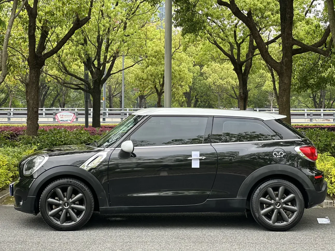 MINI PACEMAN