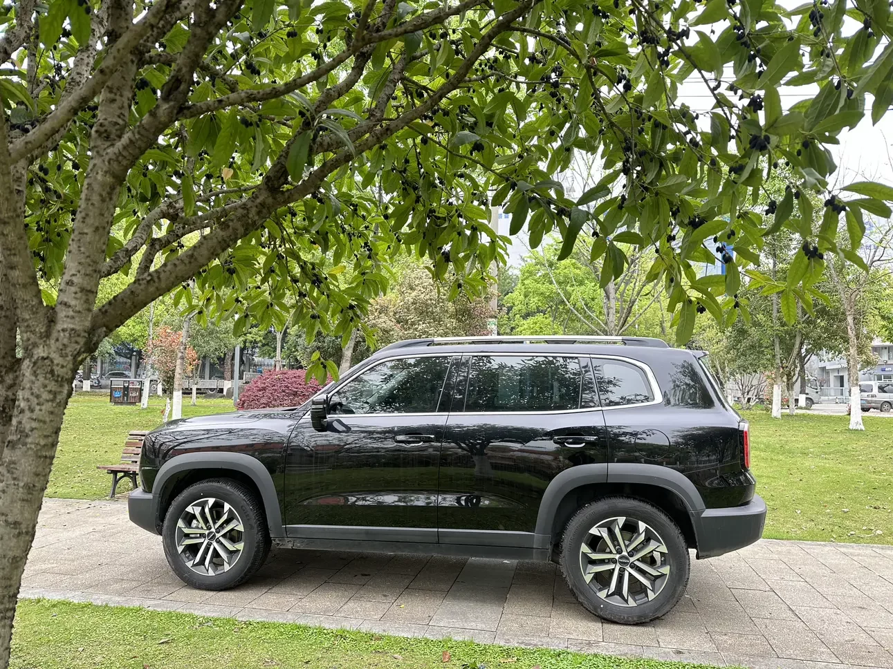 Haval Dargo
