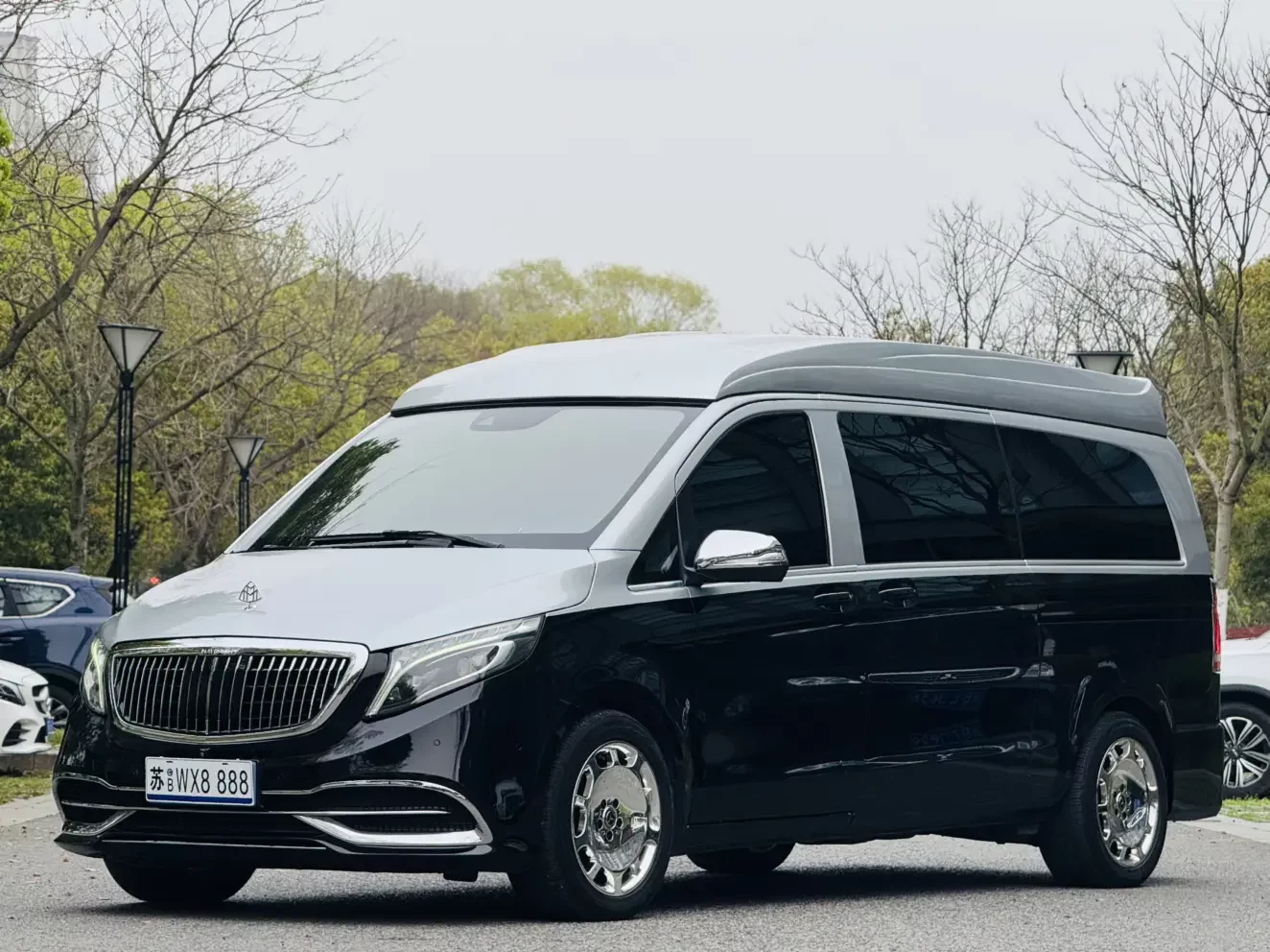 Mercedes-Benz V Class
