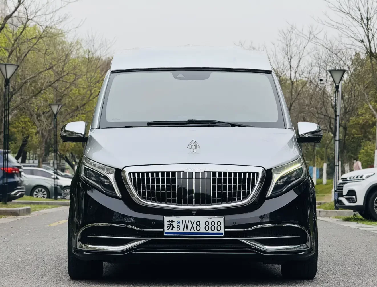 Mercedes-Benz V Class