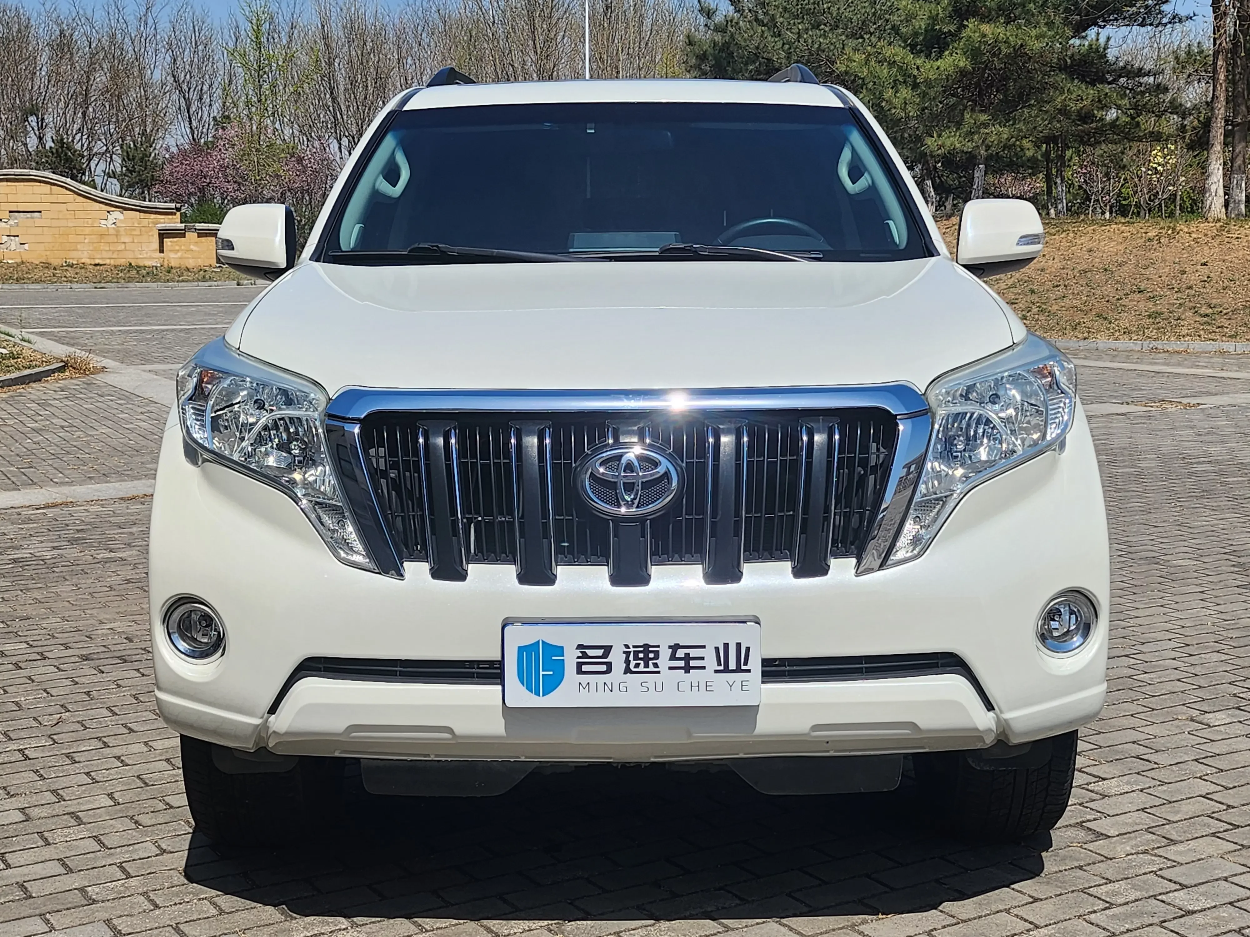 Toyota prado
