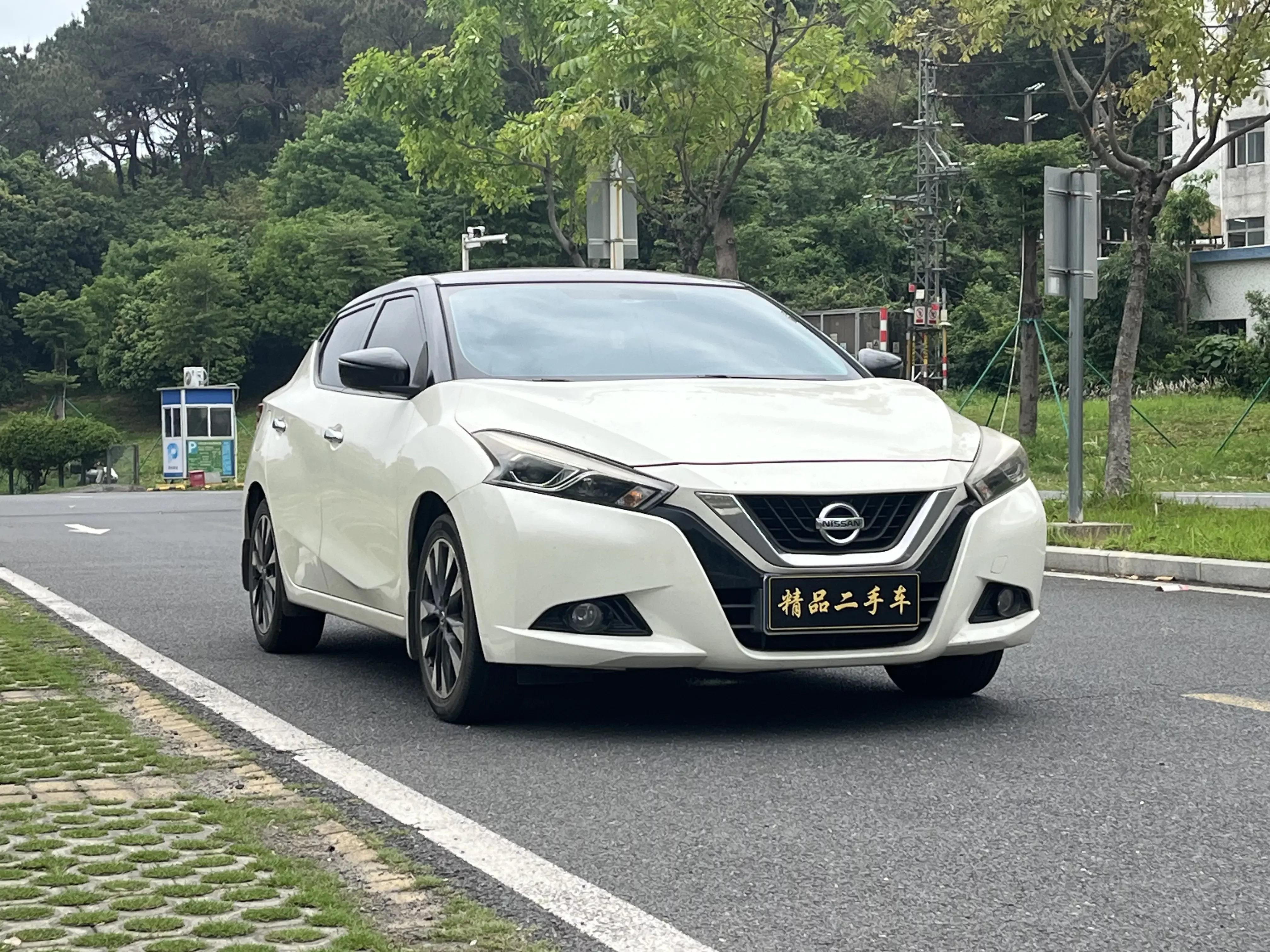 Nissan bluebird