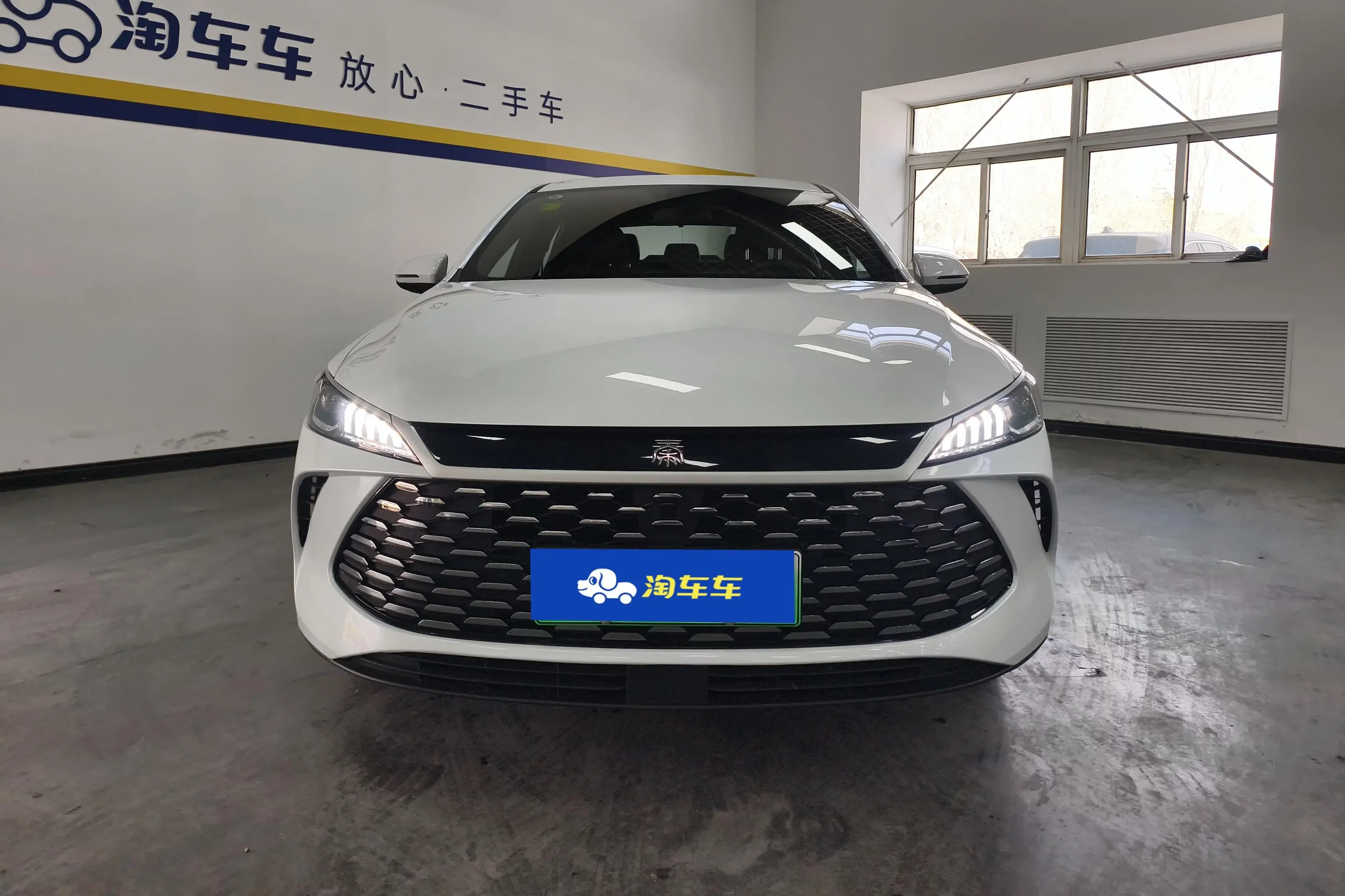 BYD Qin PLUS DM