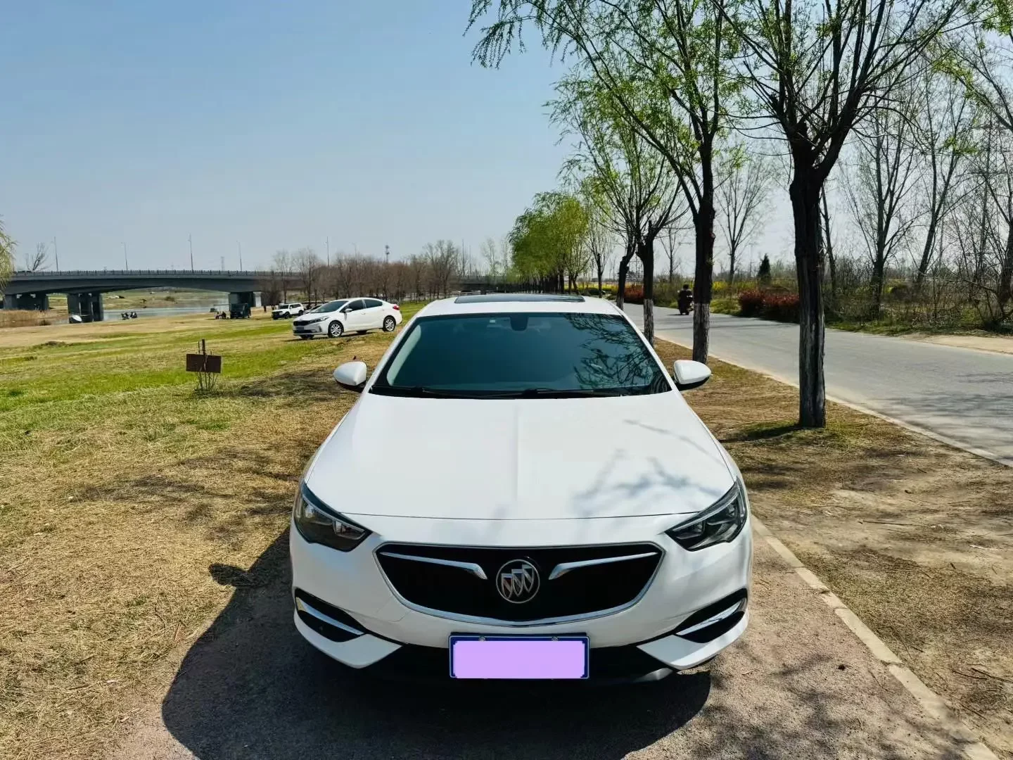 Buick Majesty