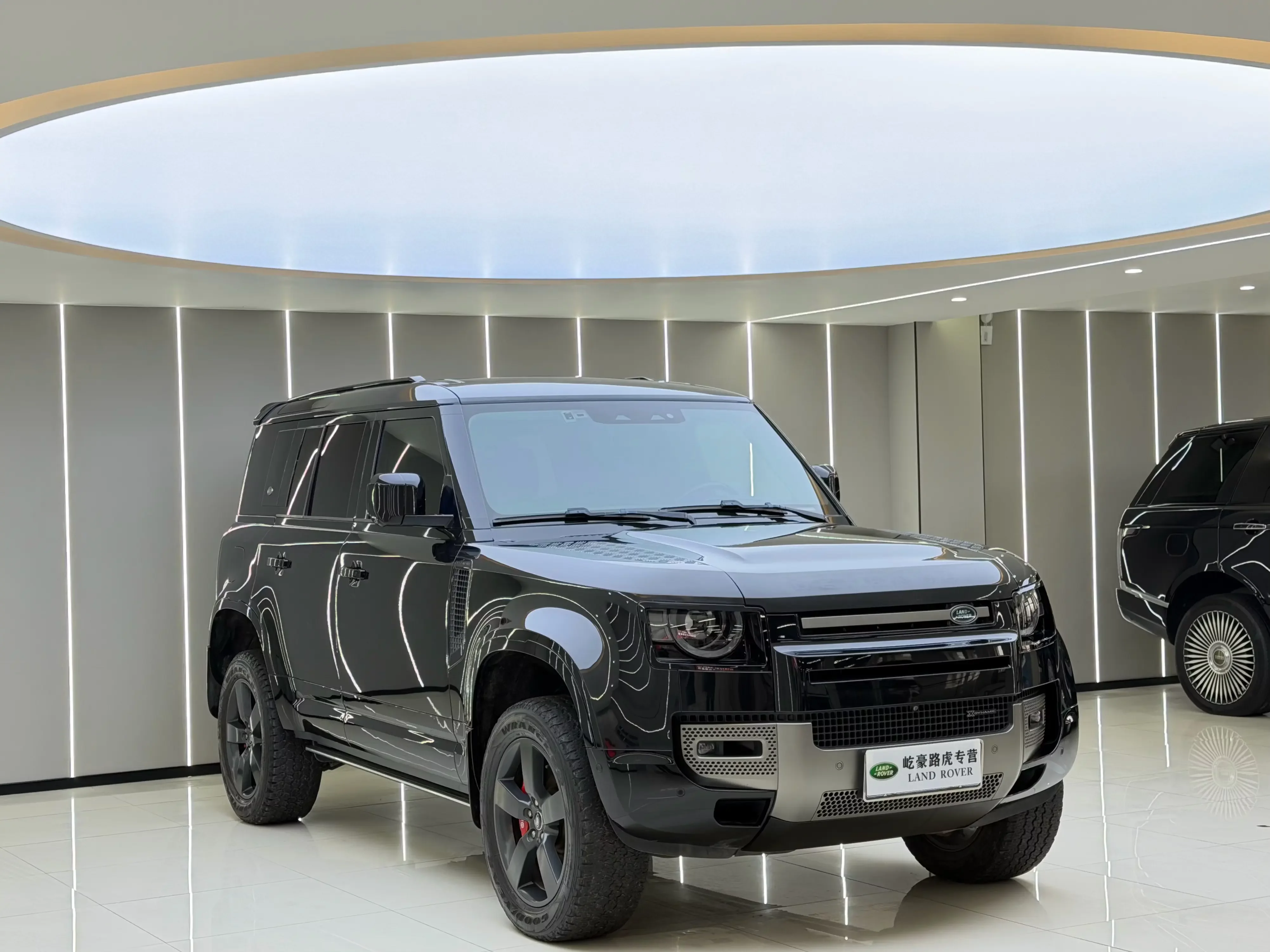 Land Rover guard