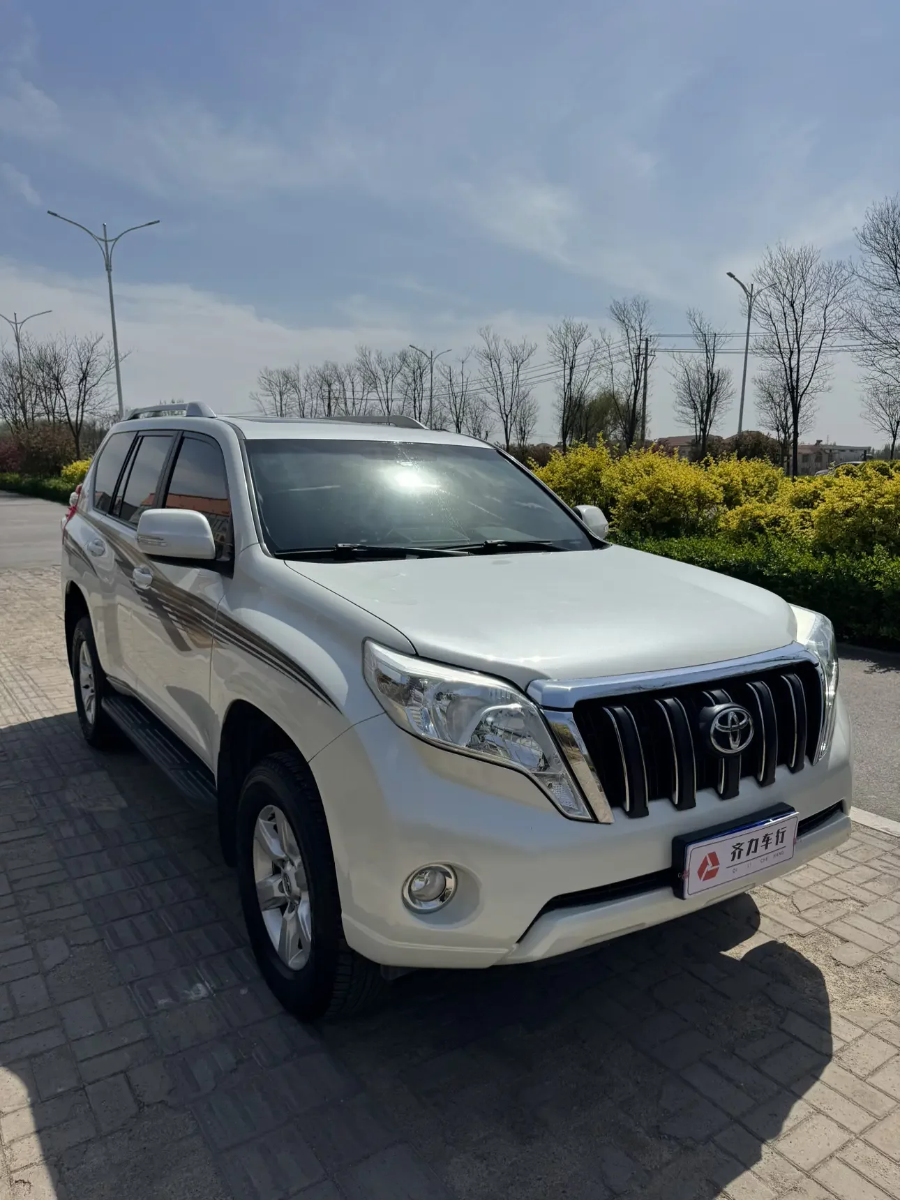 Toyota prado