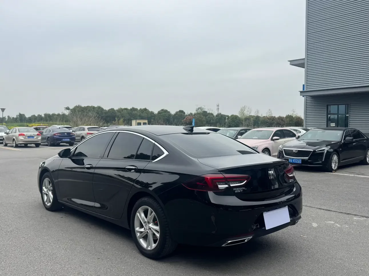 Buick Majesty