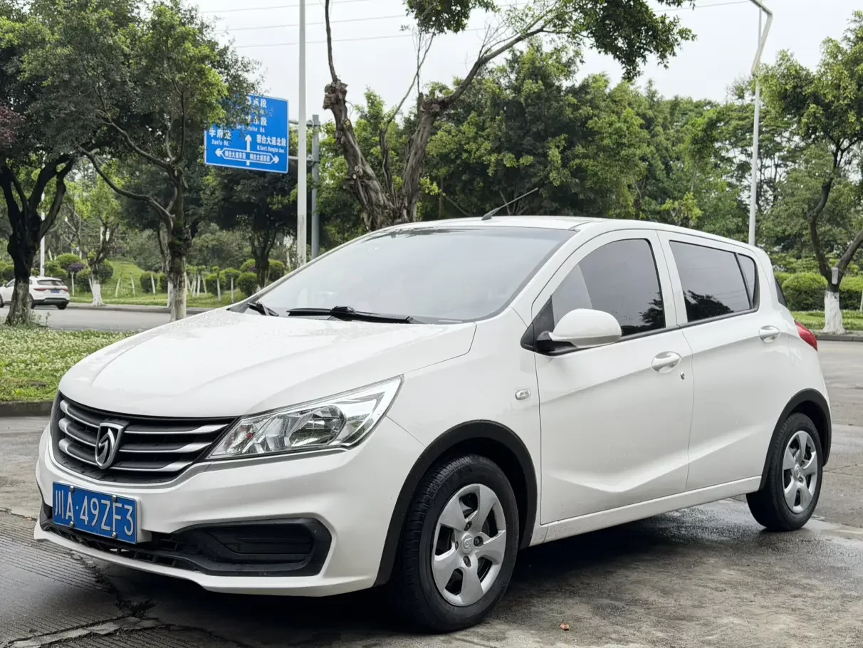 Baojun 310