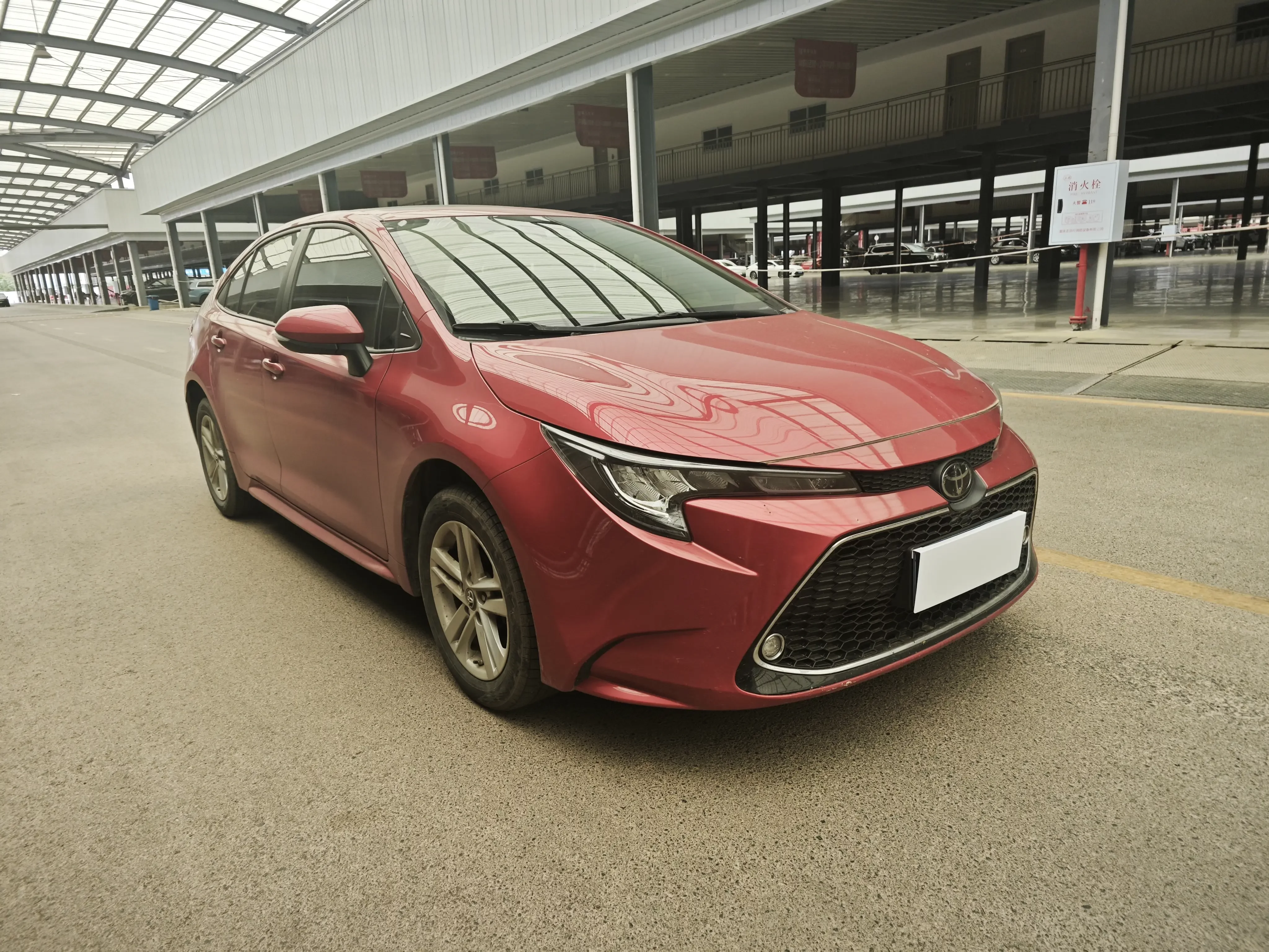 Toyota Levin