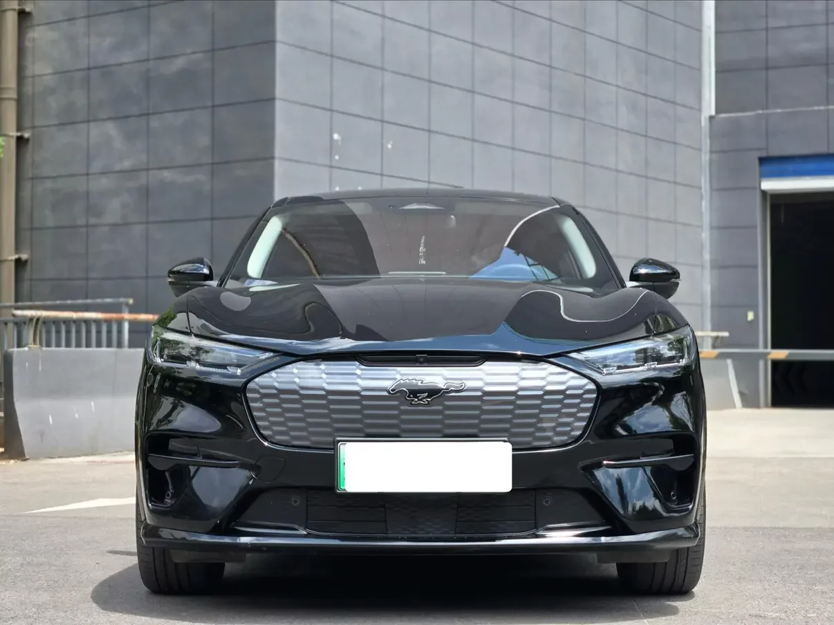 Ford electric horse