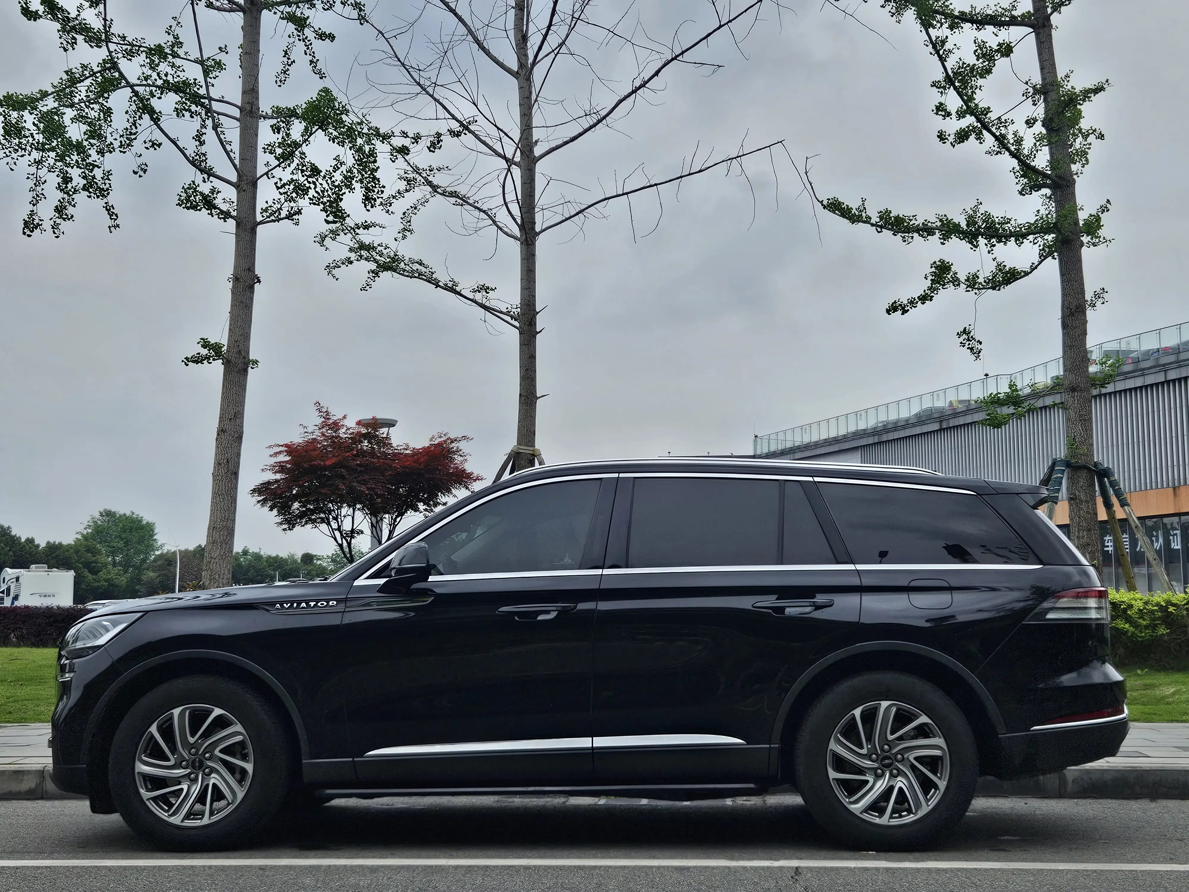 Lincoln aviator